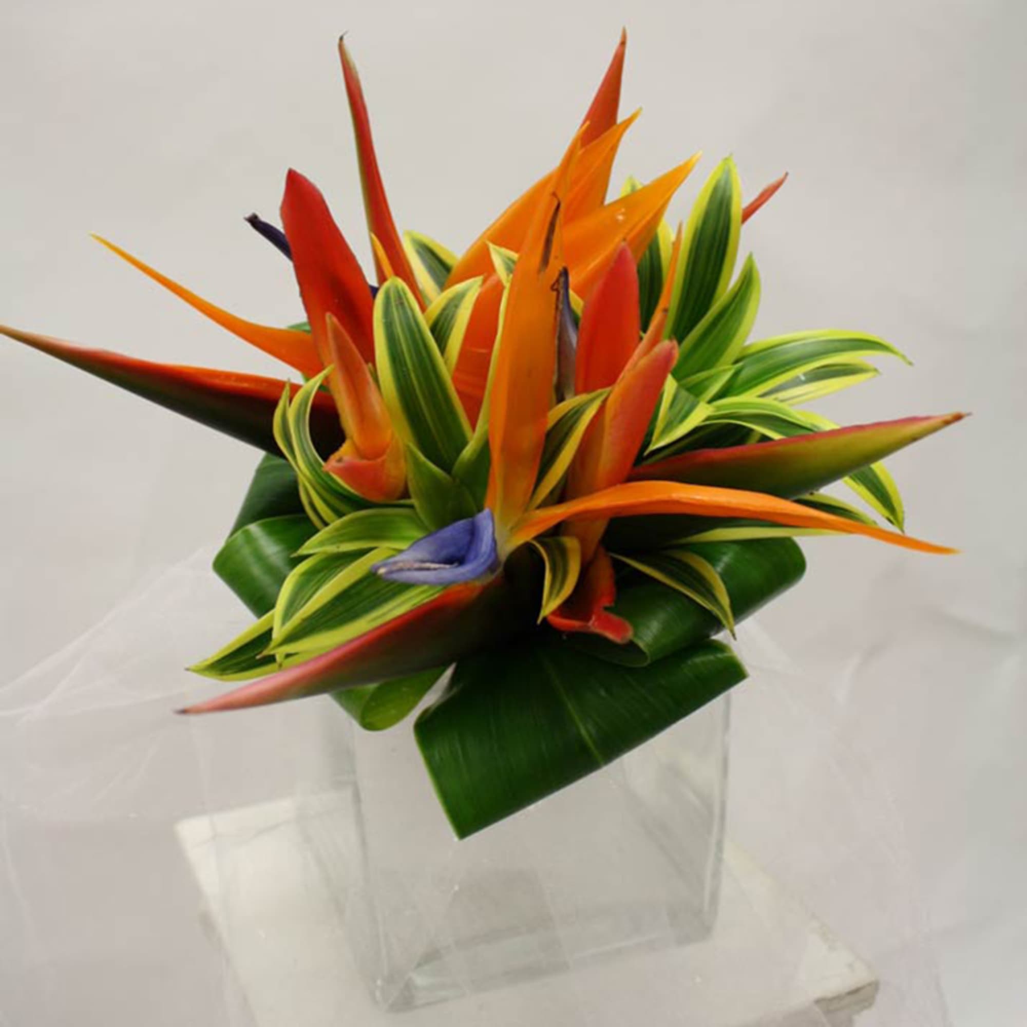 Compact tropical arrangement with orange blooms in a clear glass cube vase