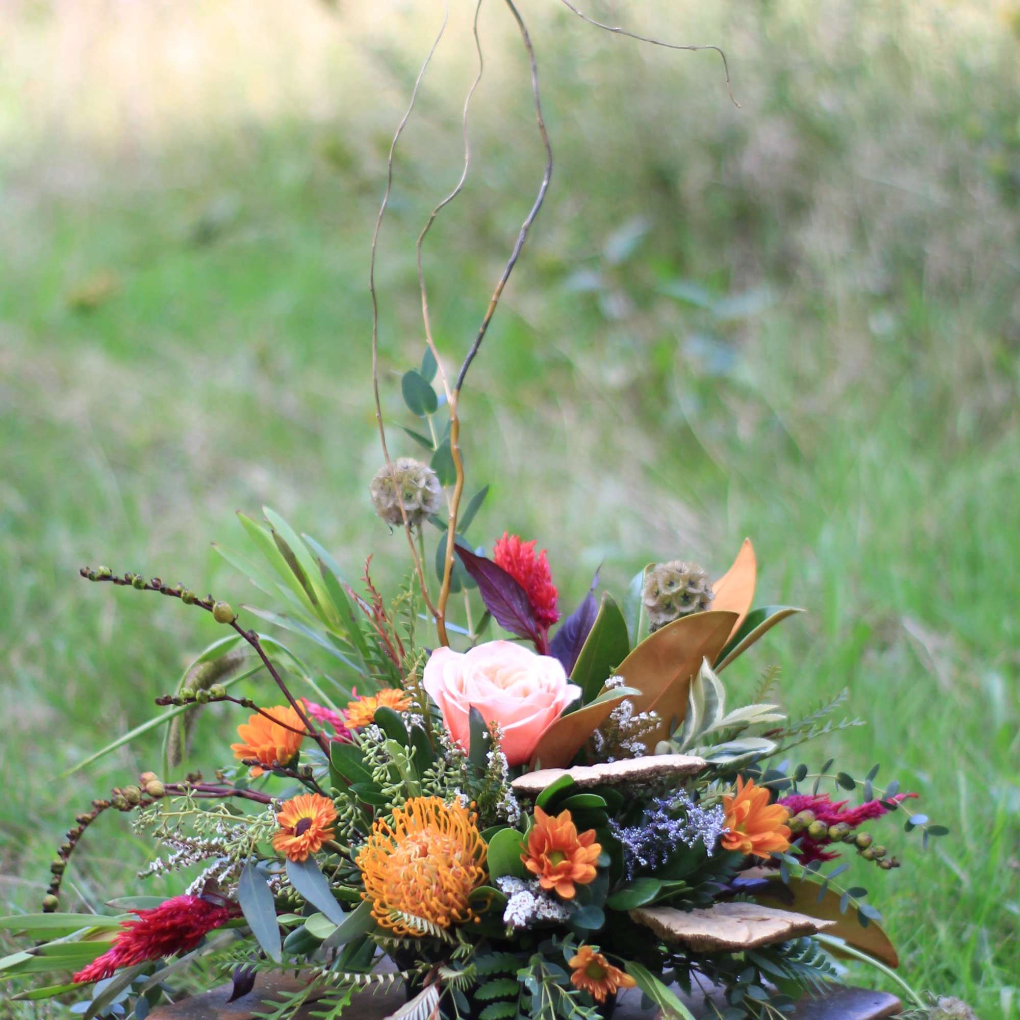 For those who love an autumn hike or walk through the trails., photo 2 of 4