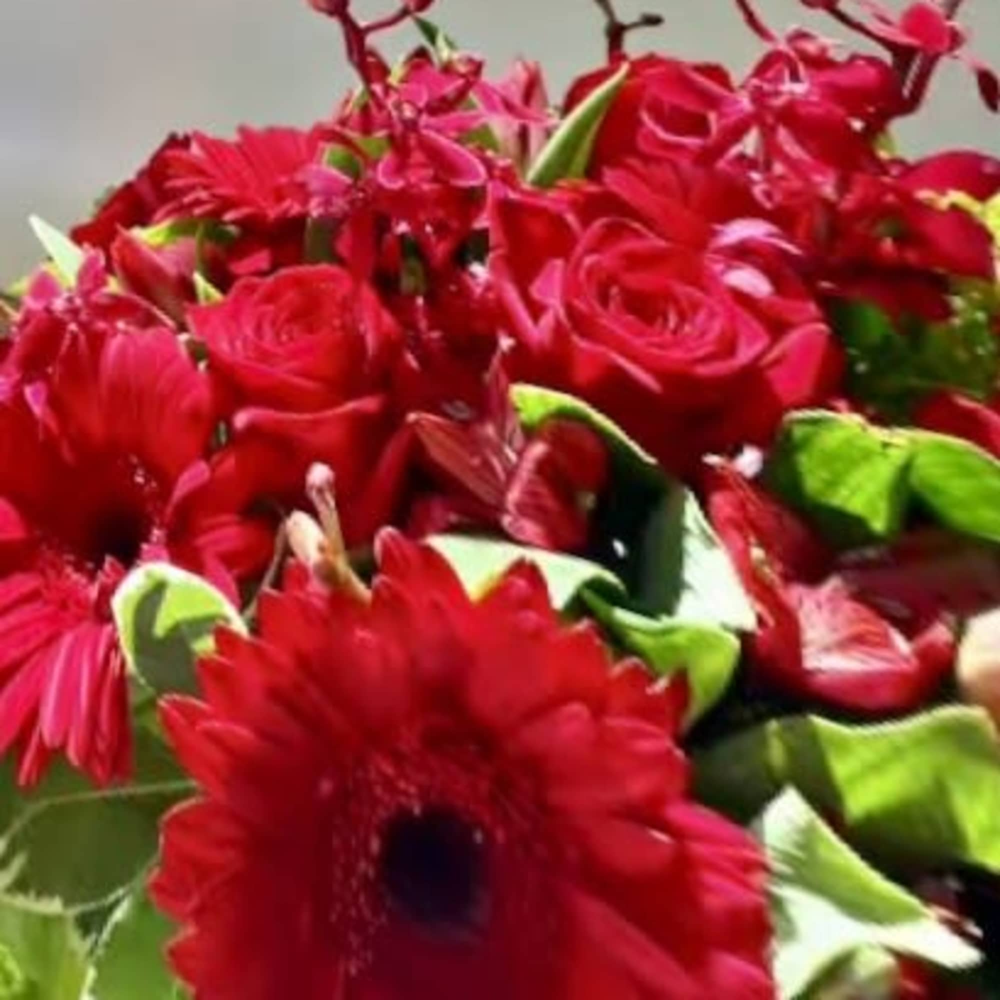 Red roses and gerbera daisies in a dense bouquet