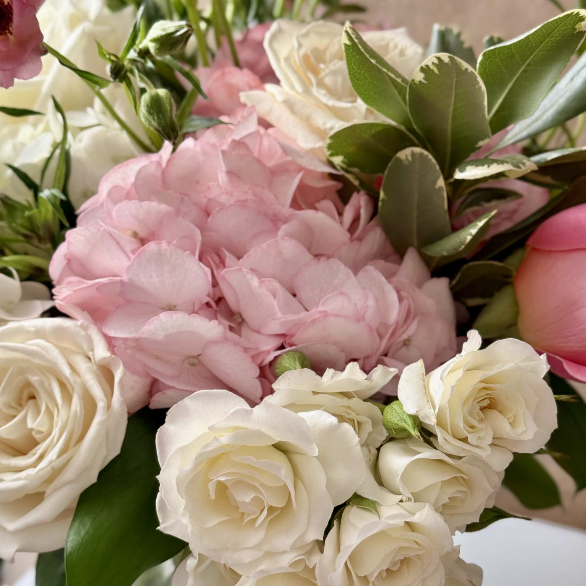 Pink hydrangea and white roses in a bouquet