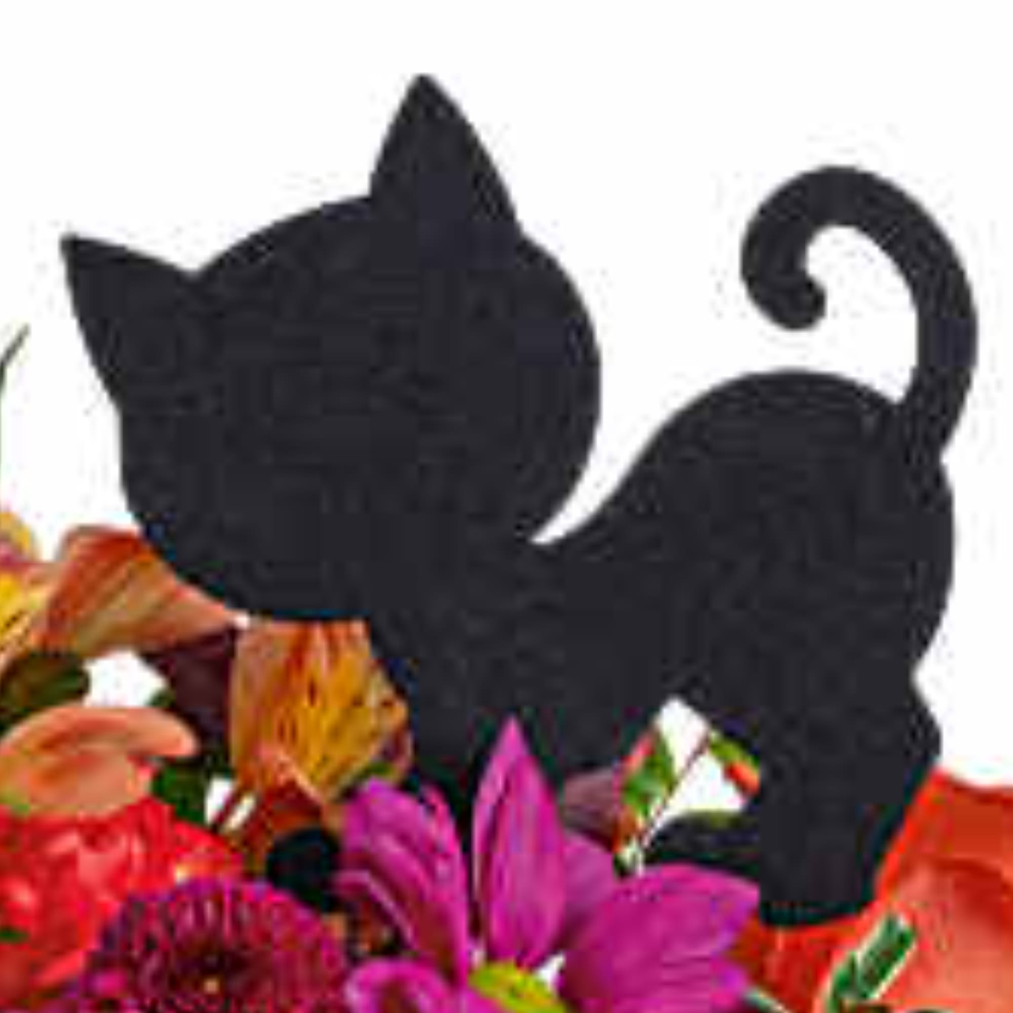 Black cat silhouette above a colorful flower arrangement