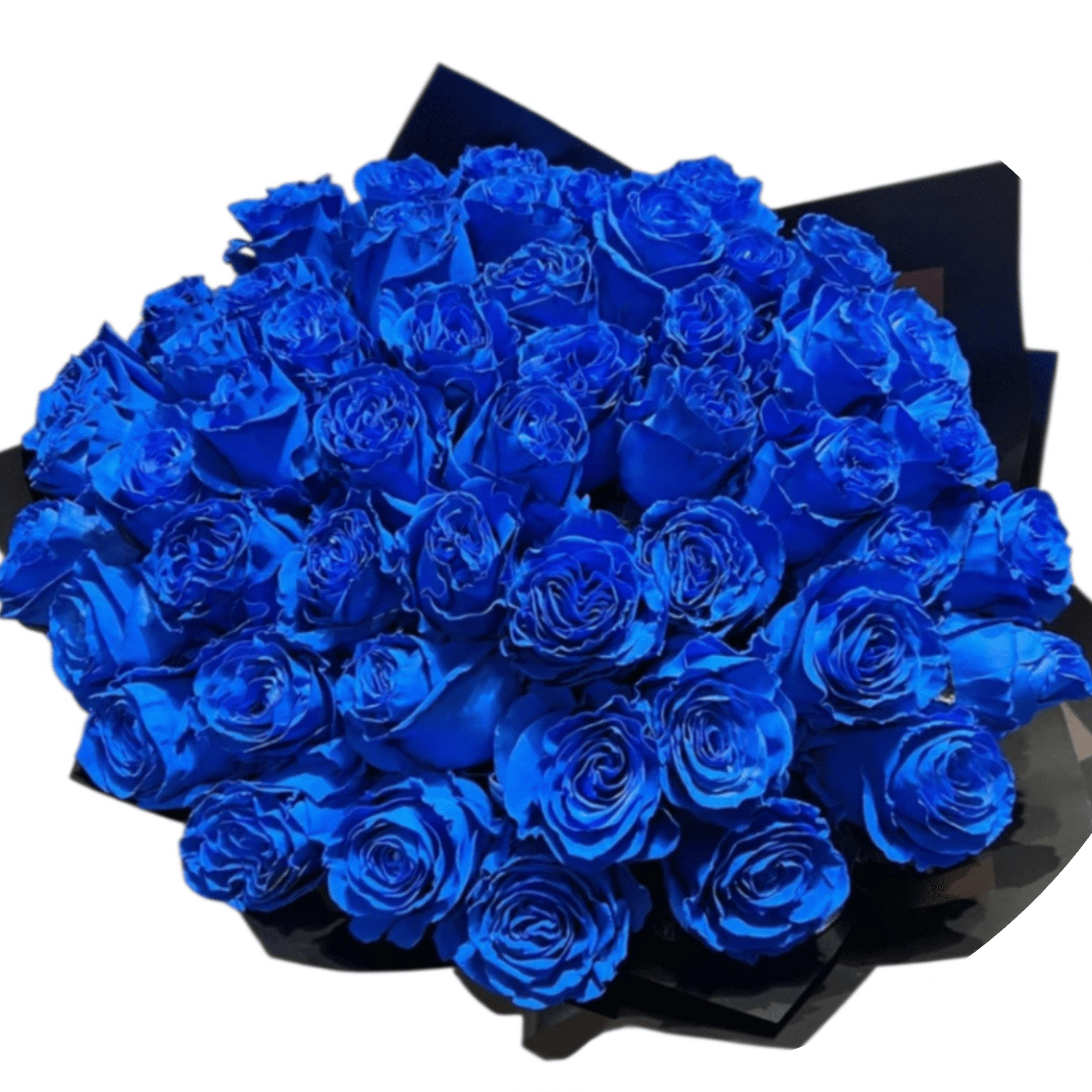 Vivid cobalt-blue roses gathered into a tight, rounded dome create a striking