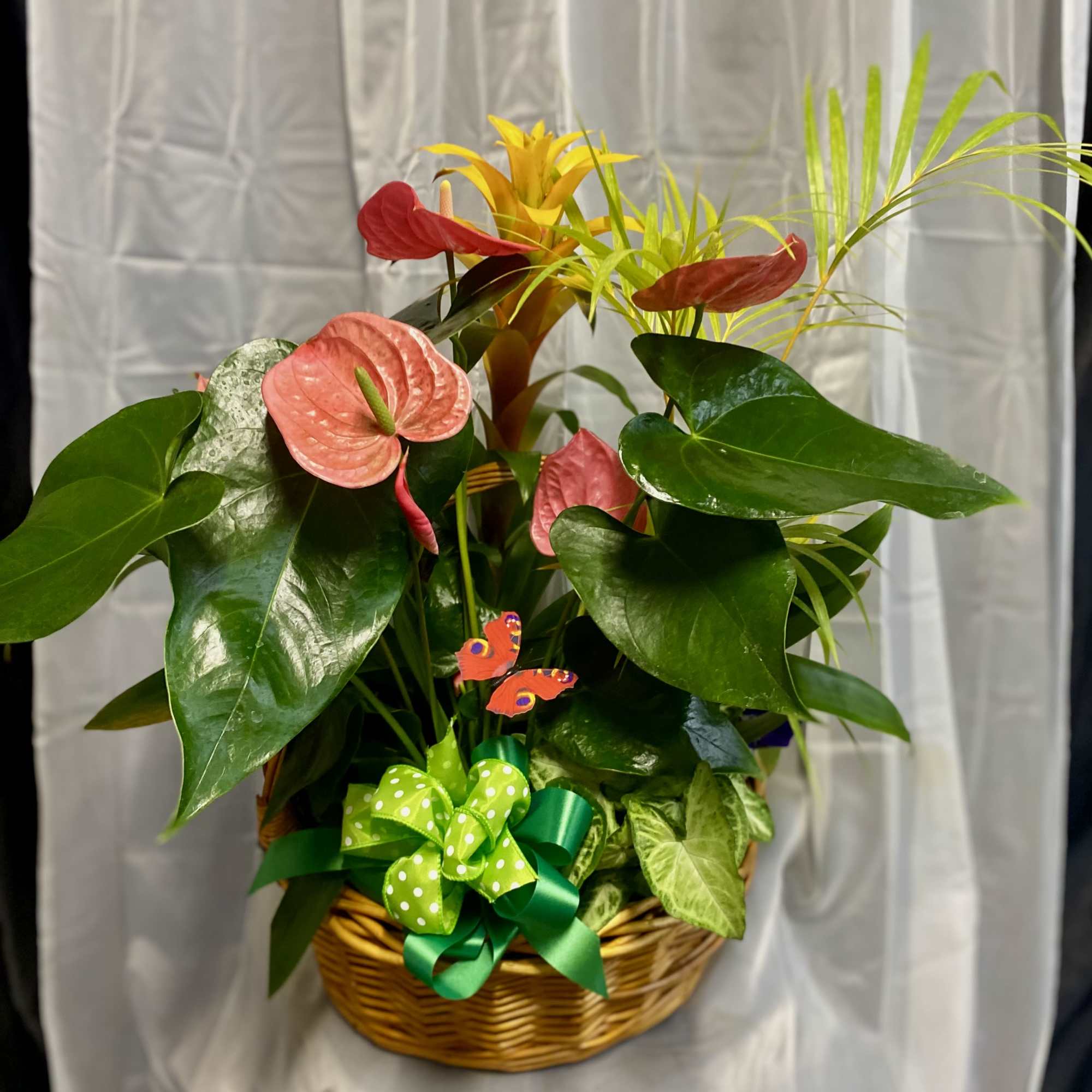 Tropical plant arrangement in a wicker basket with pink and yellow blooms