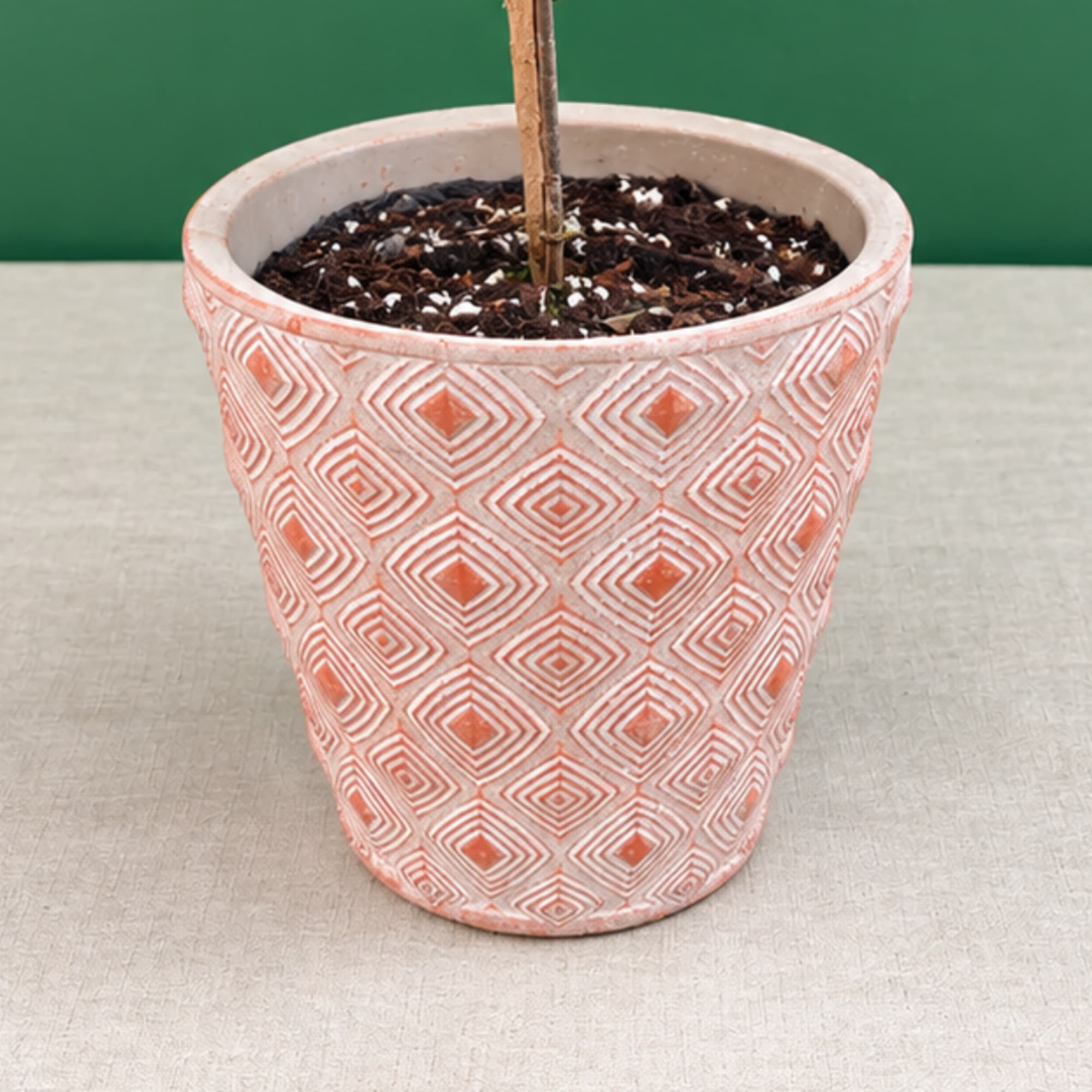 Patterned terracotta plant pot with soil and a stake