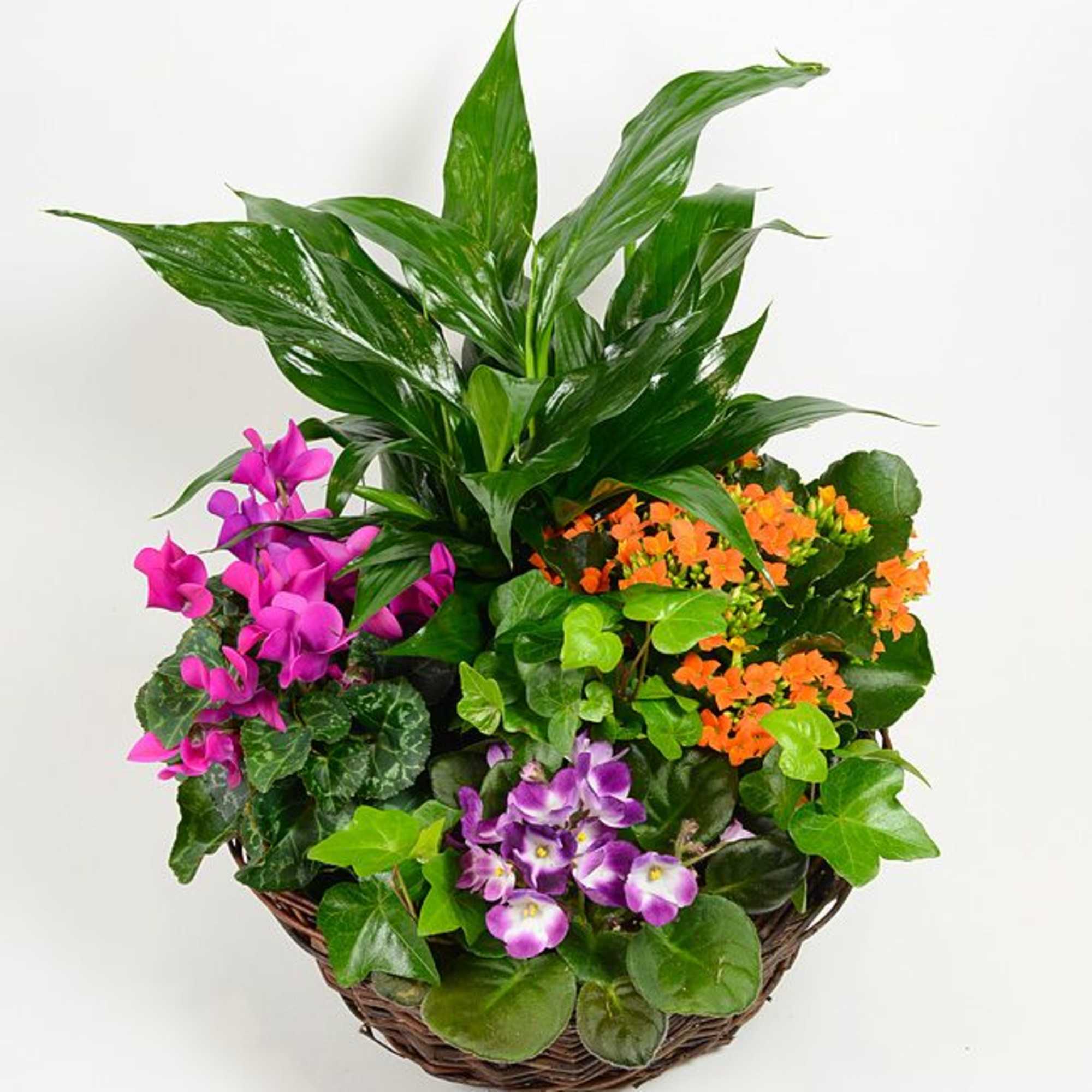 European Garden Savannah in Woodbury, MN | Woodlane Flowers