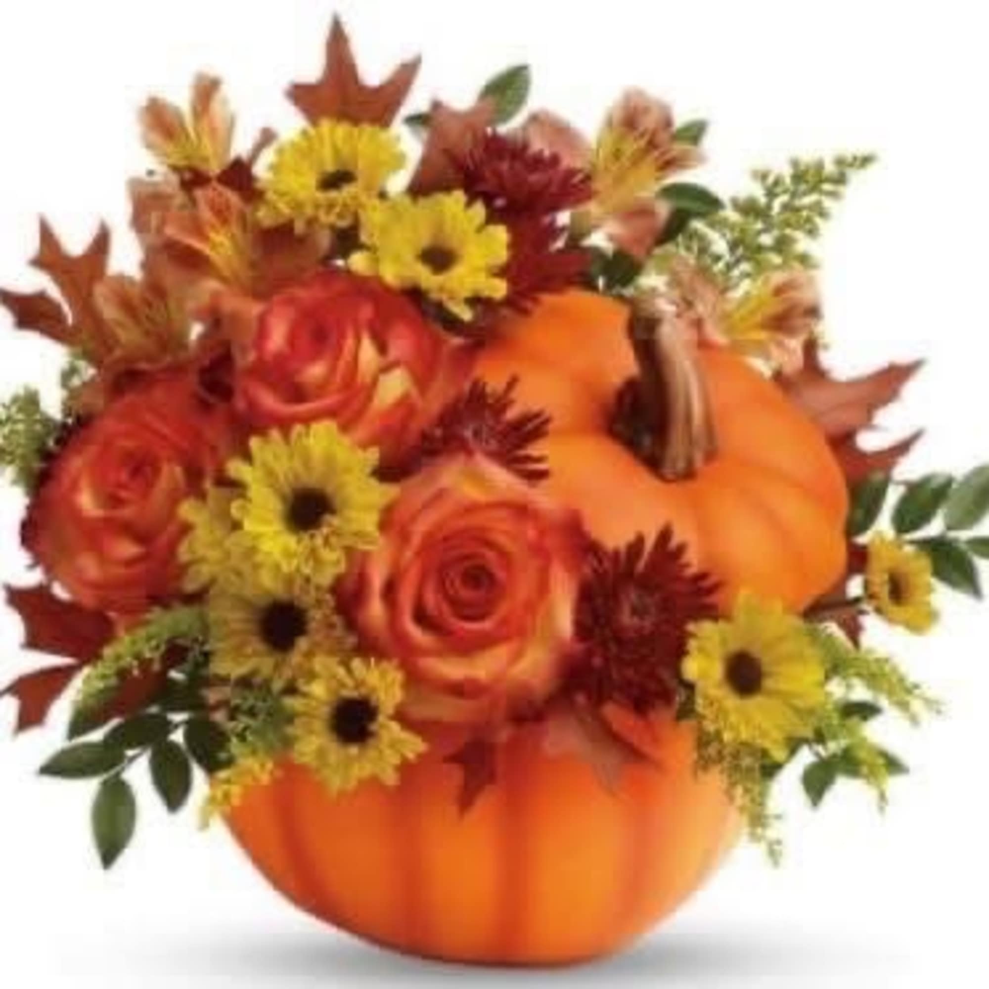 Pumpkin arrangement with orange roses and yellow daisies