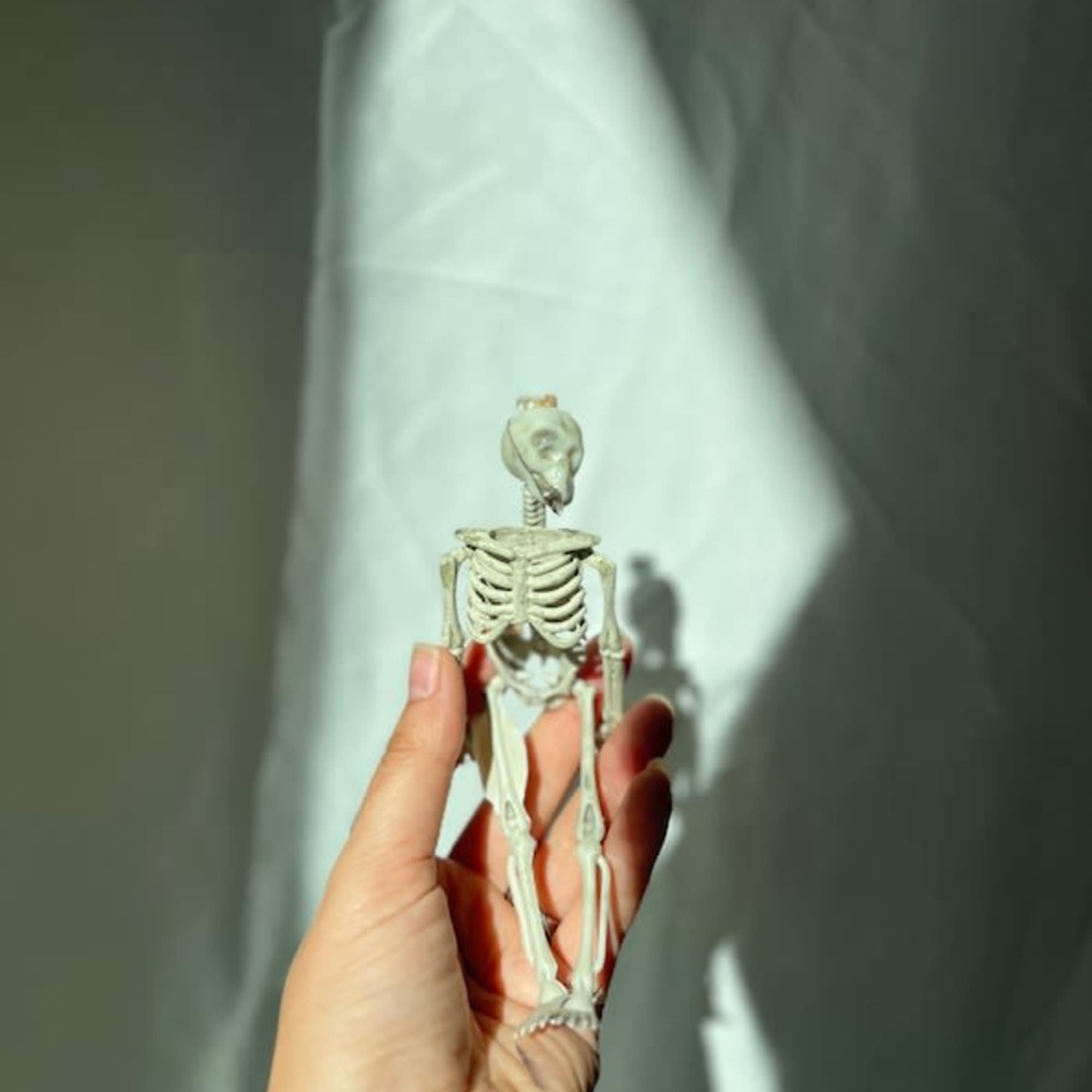 Hand holding a small skeleton figurine against a plain background