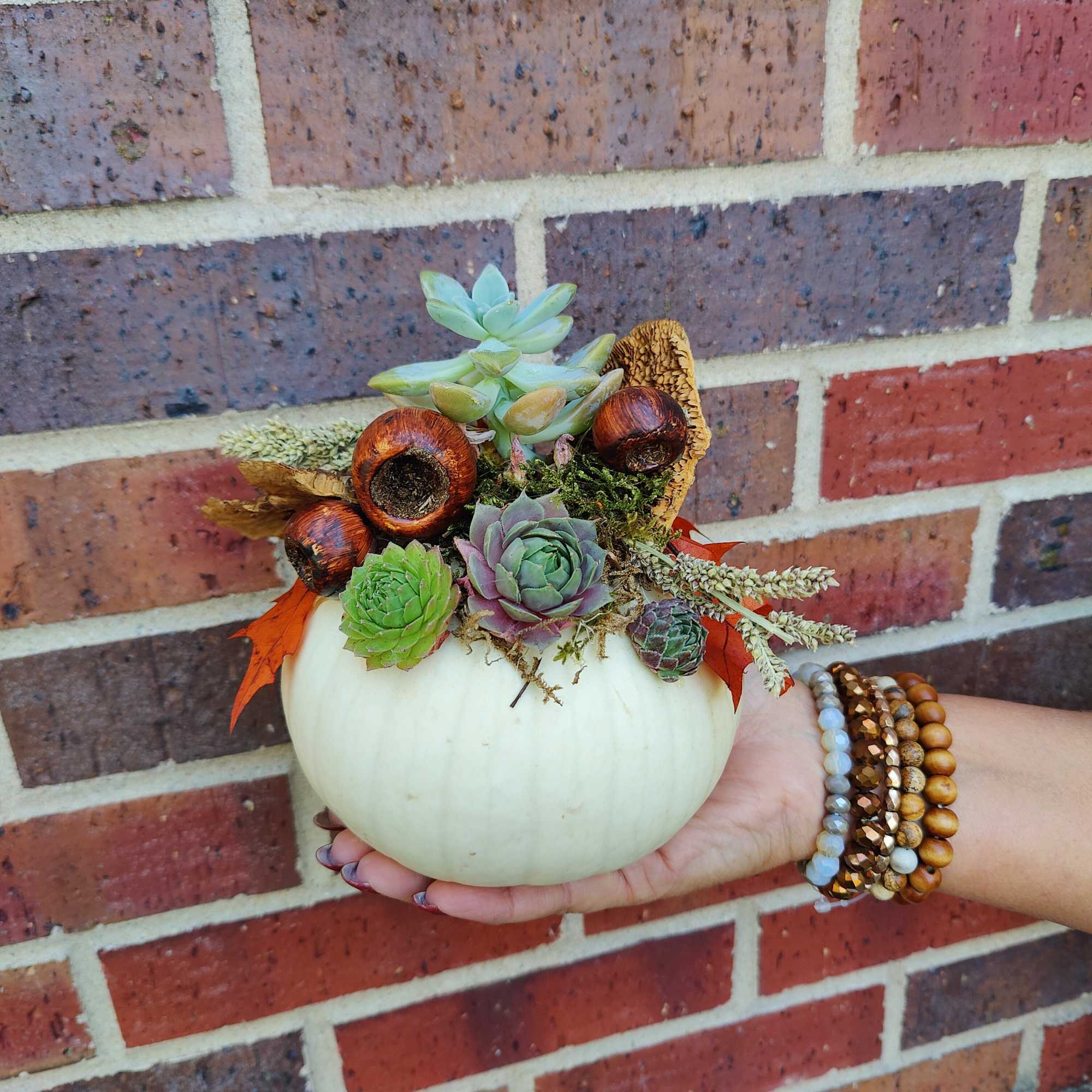 Succulent arrangement in a white pumpkin held in one hand