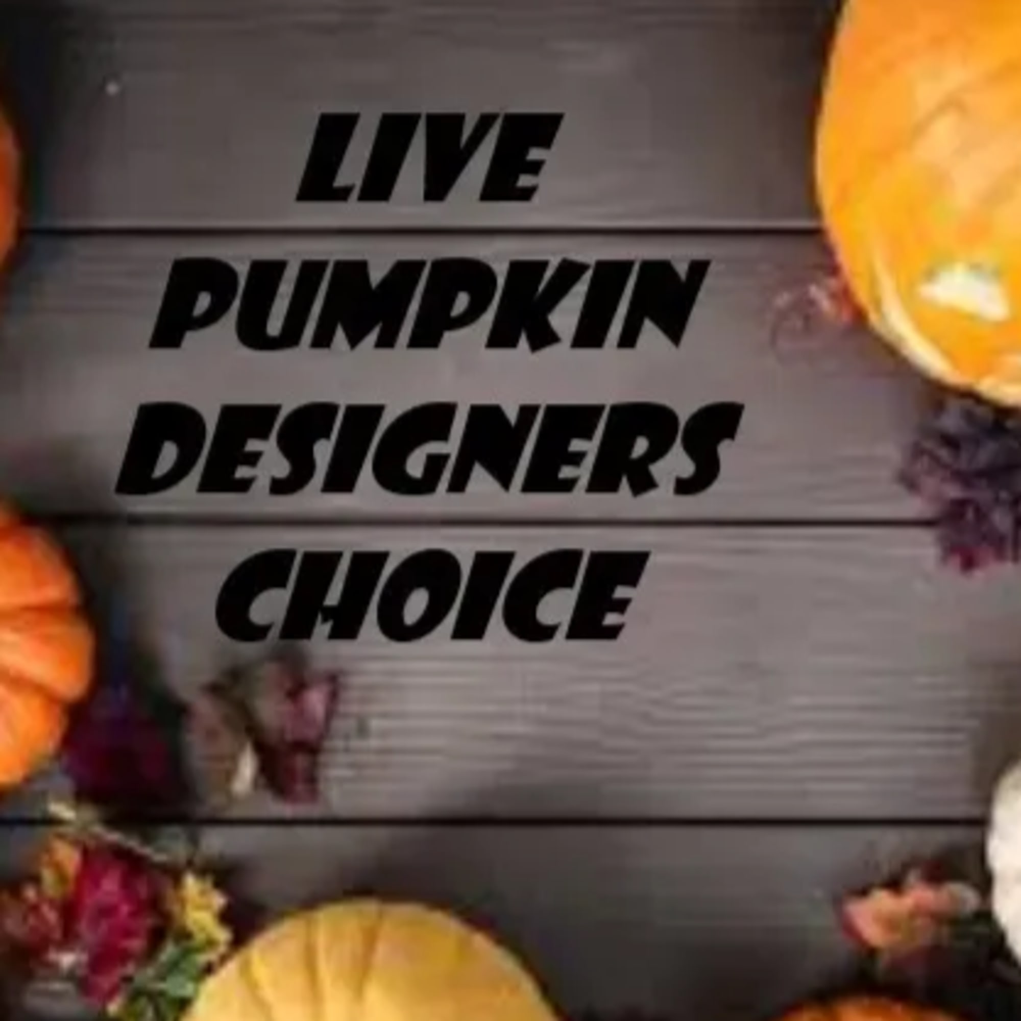 Designed in a live pumpkin, photo 2 of 2