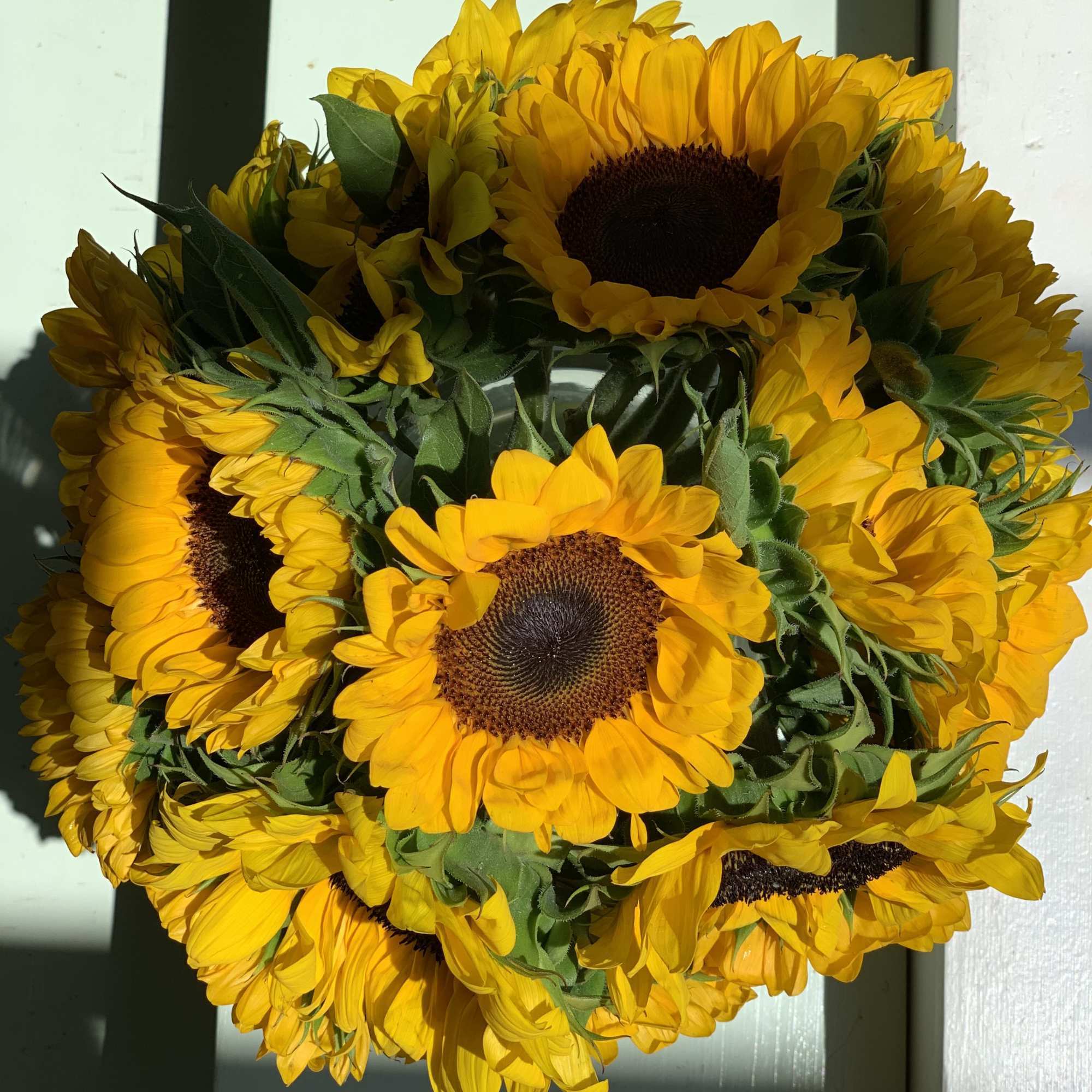 Bouquet of bright yellow sunflowers with dark centers