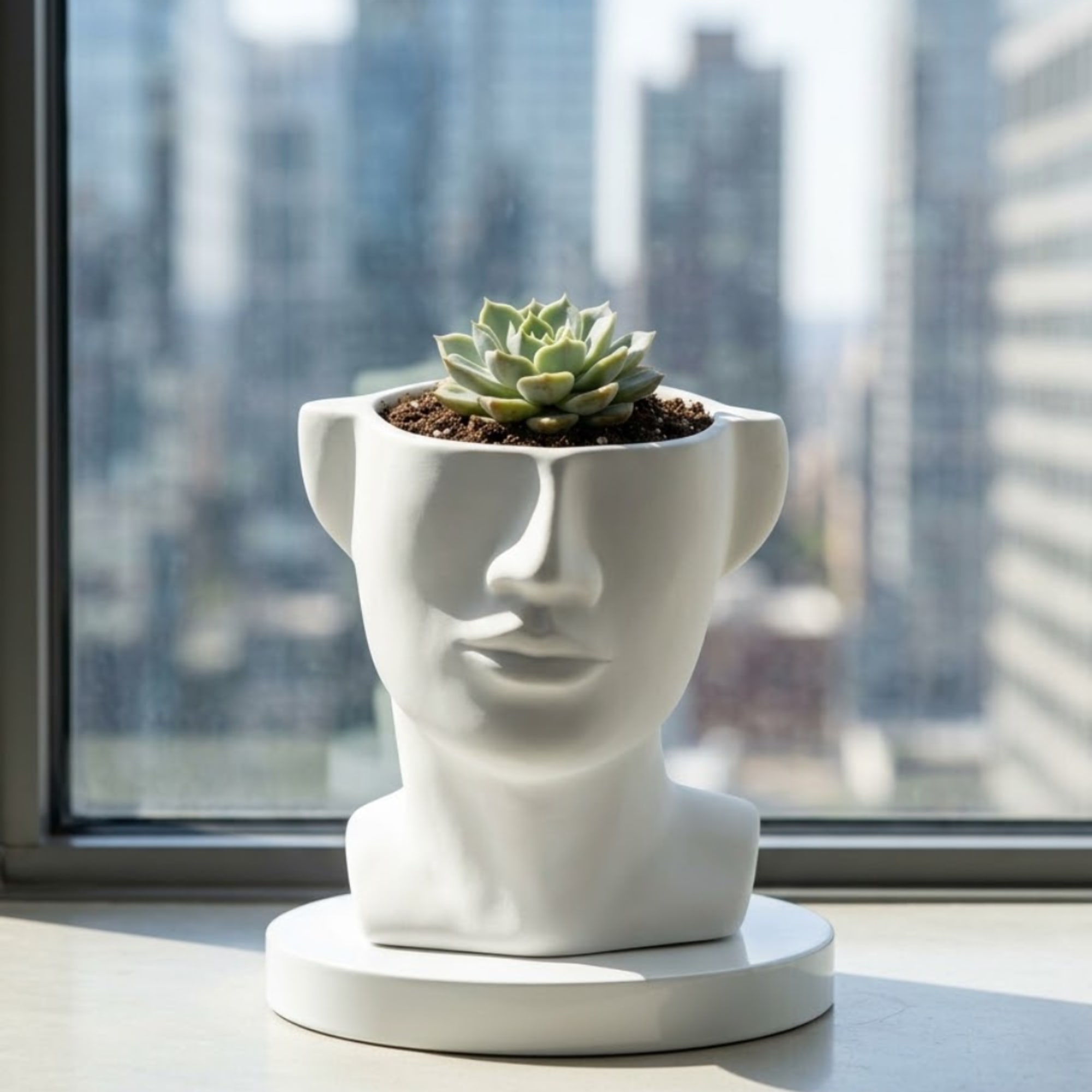 Succulent in a white face-shaped planter on a round base