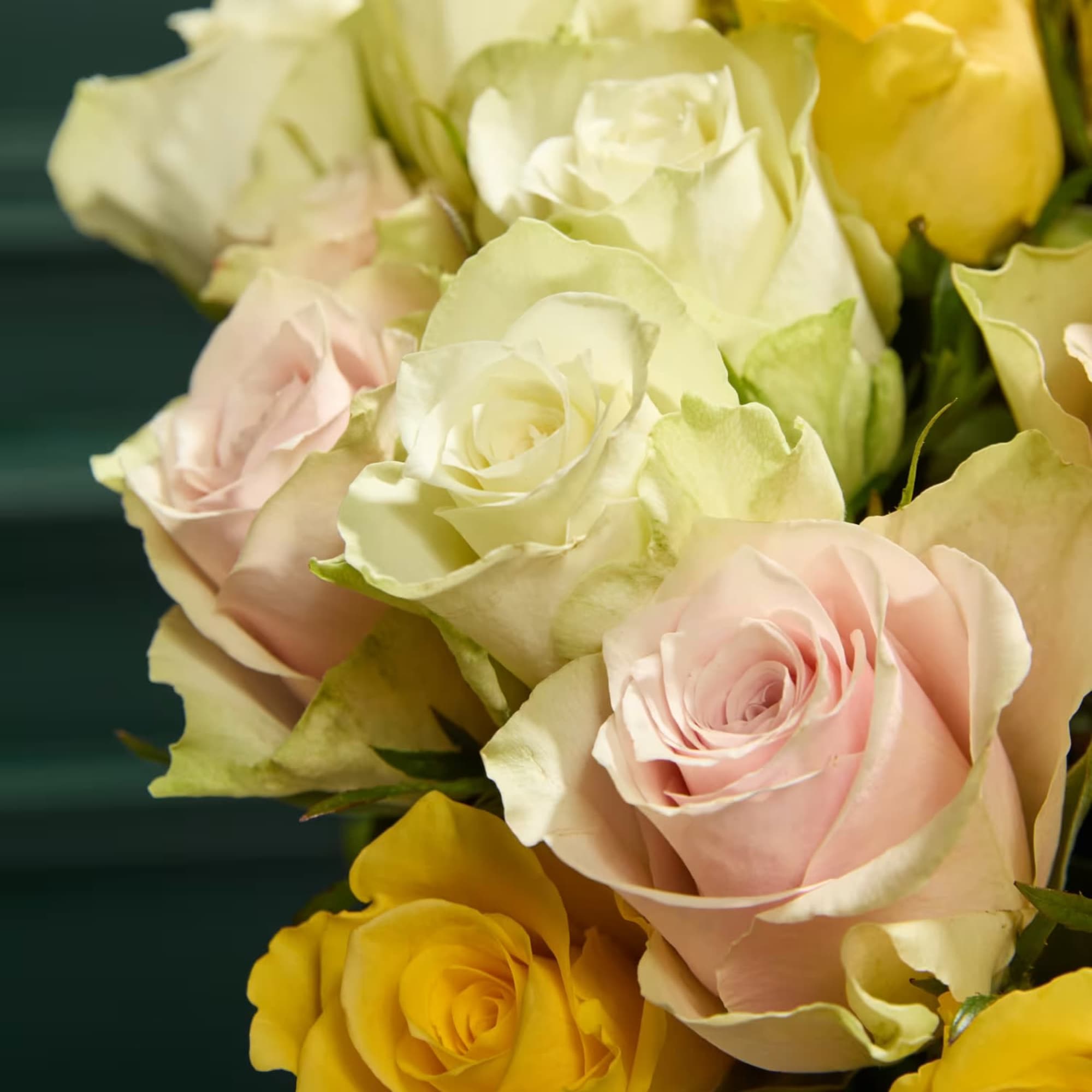 Bouquet of pink, white, and yellow roses