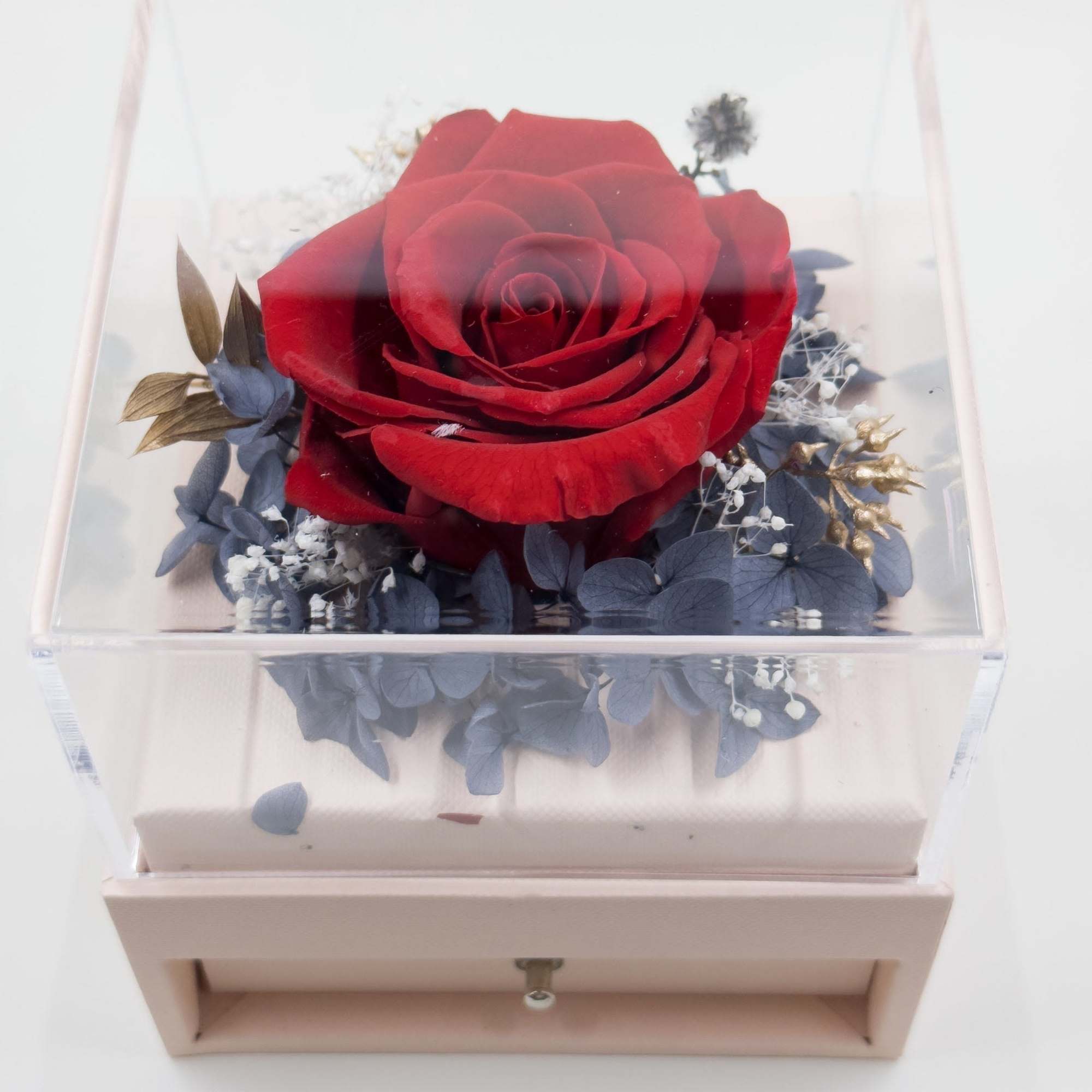 Single red rose in a clear box with small dried accents