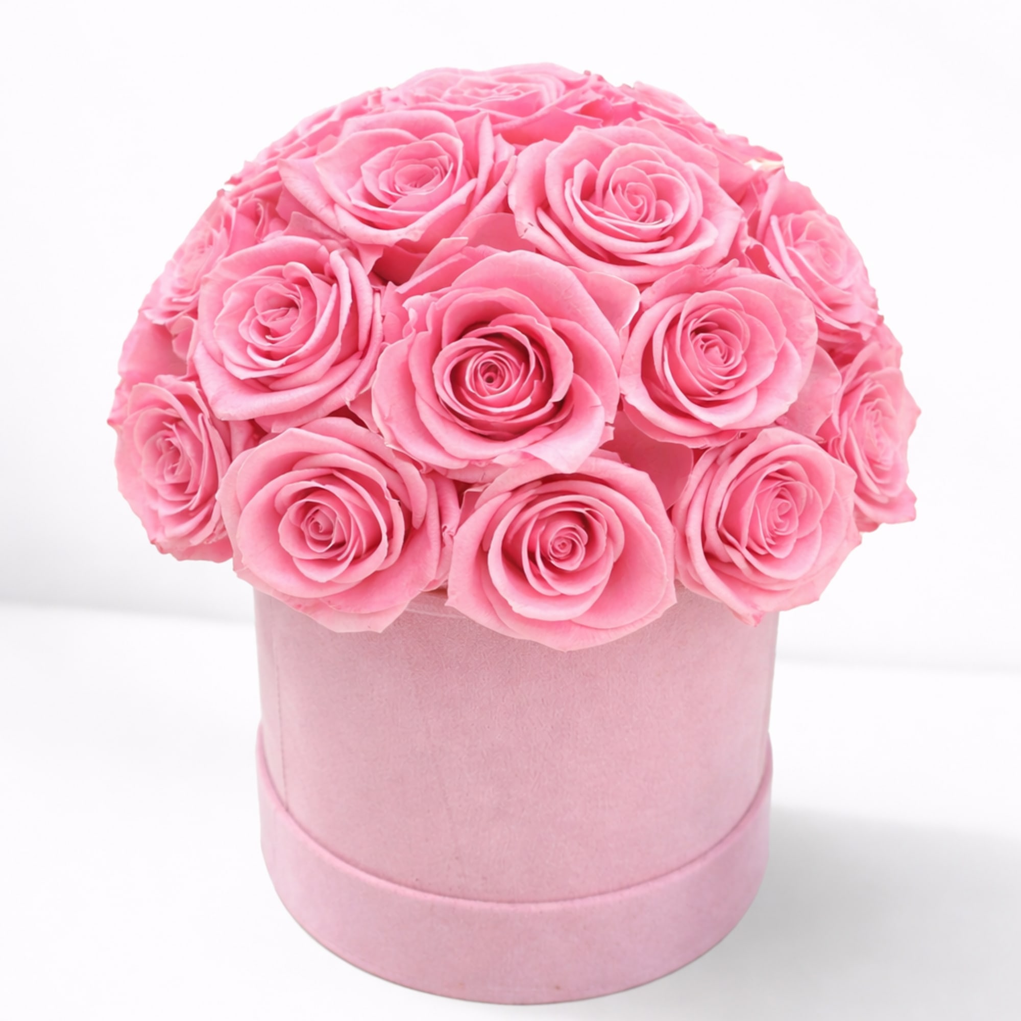 Pink roses arranged in a round pink box