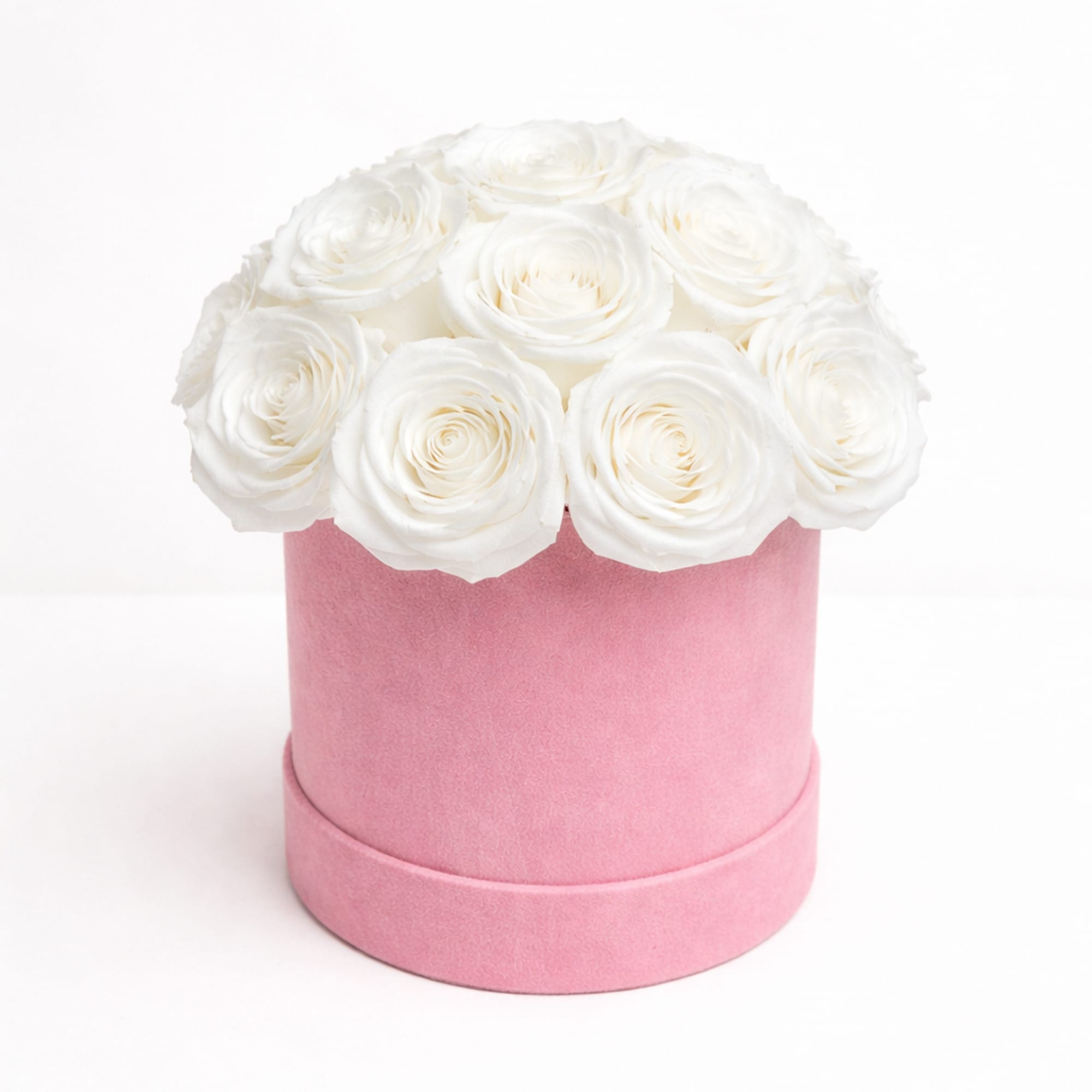 White roses arranged in a pink round box