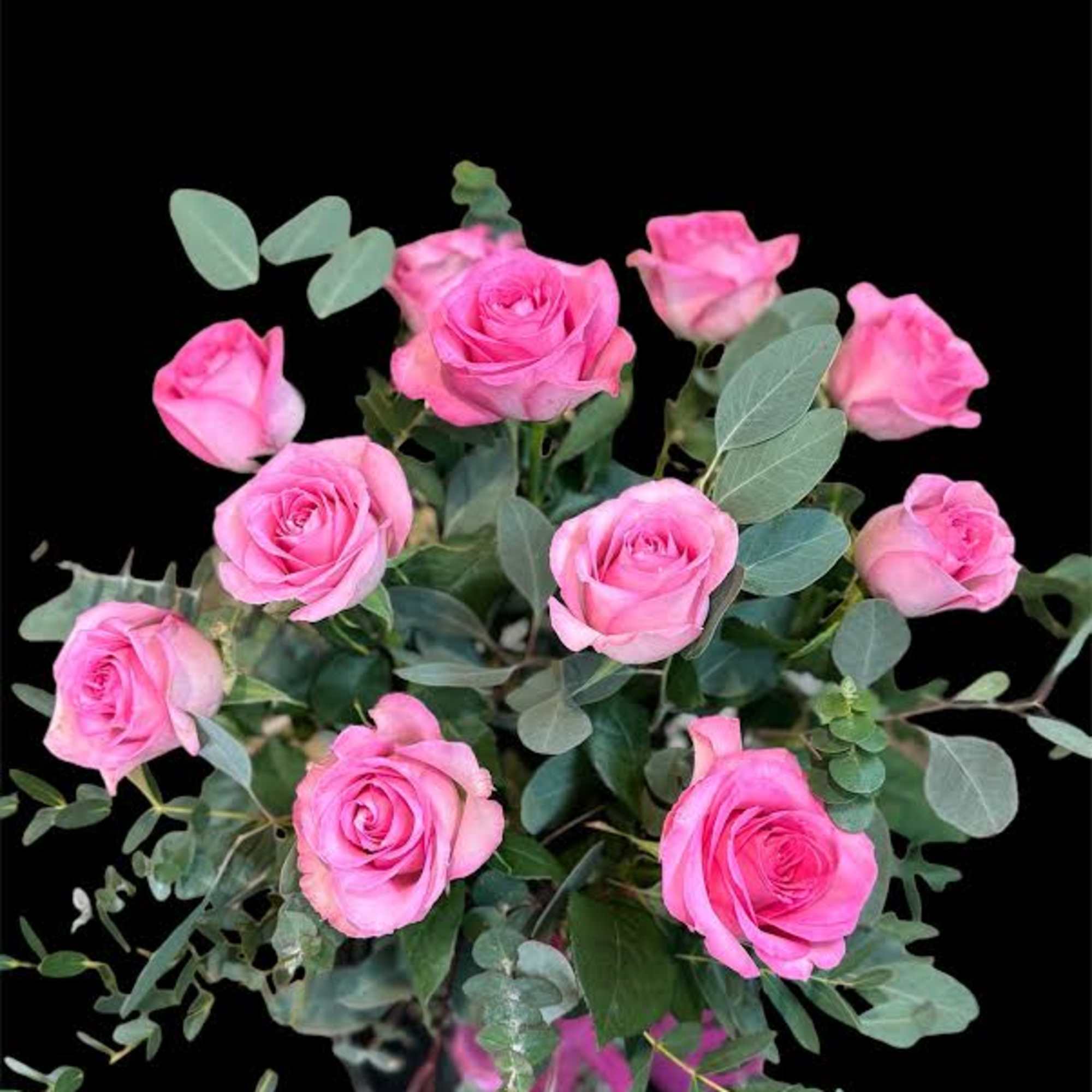 Pink roses arranged with eucalyptus in a vase