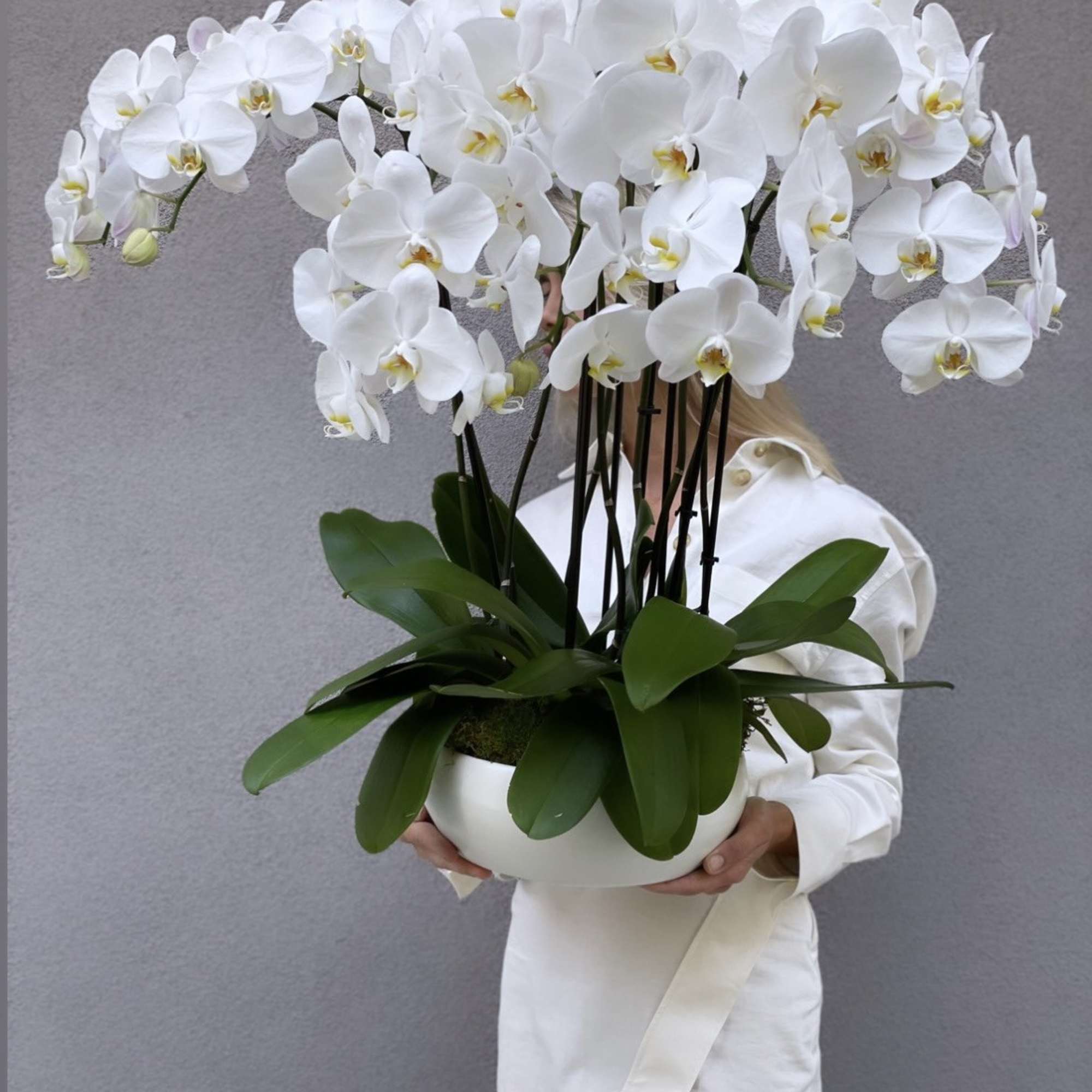 White orchid arrangement in a white bowl planter