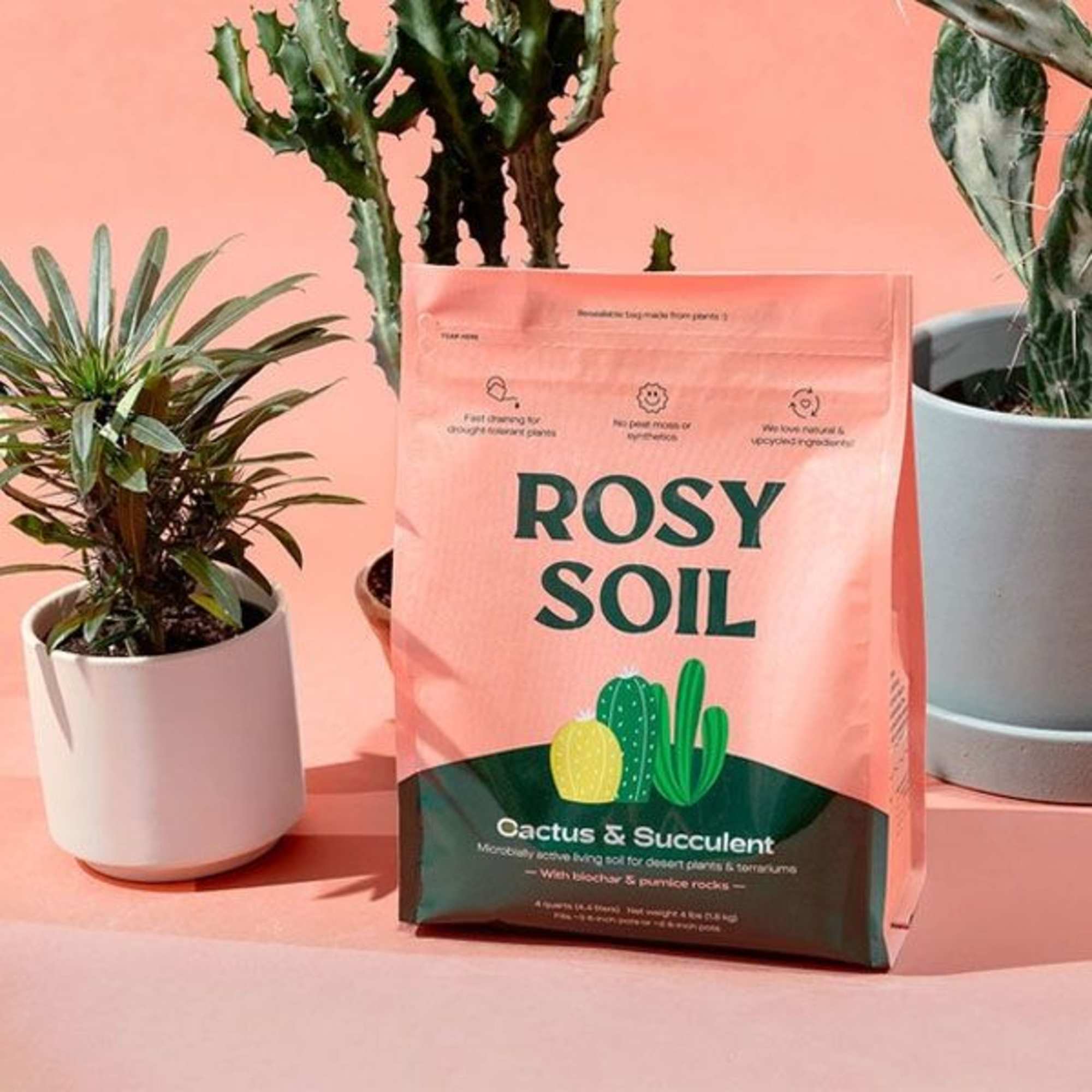 Our 100% natural, peat-free Cactus &amp; Succulent Mix is the perfect soil