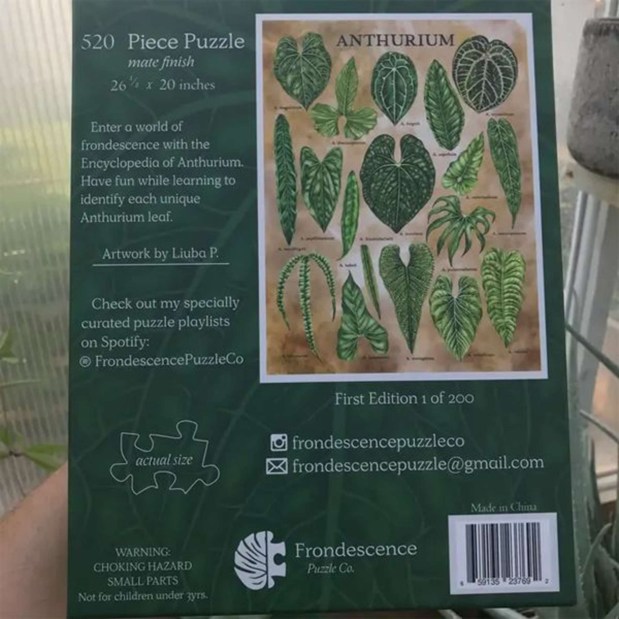 This beautiful 380 piece puzzle from Frondescence Puzzle Co. is a perfect, photo 2 of 2