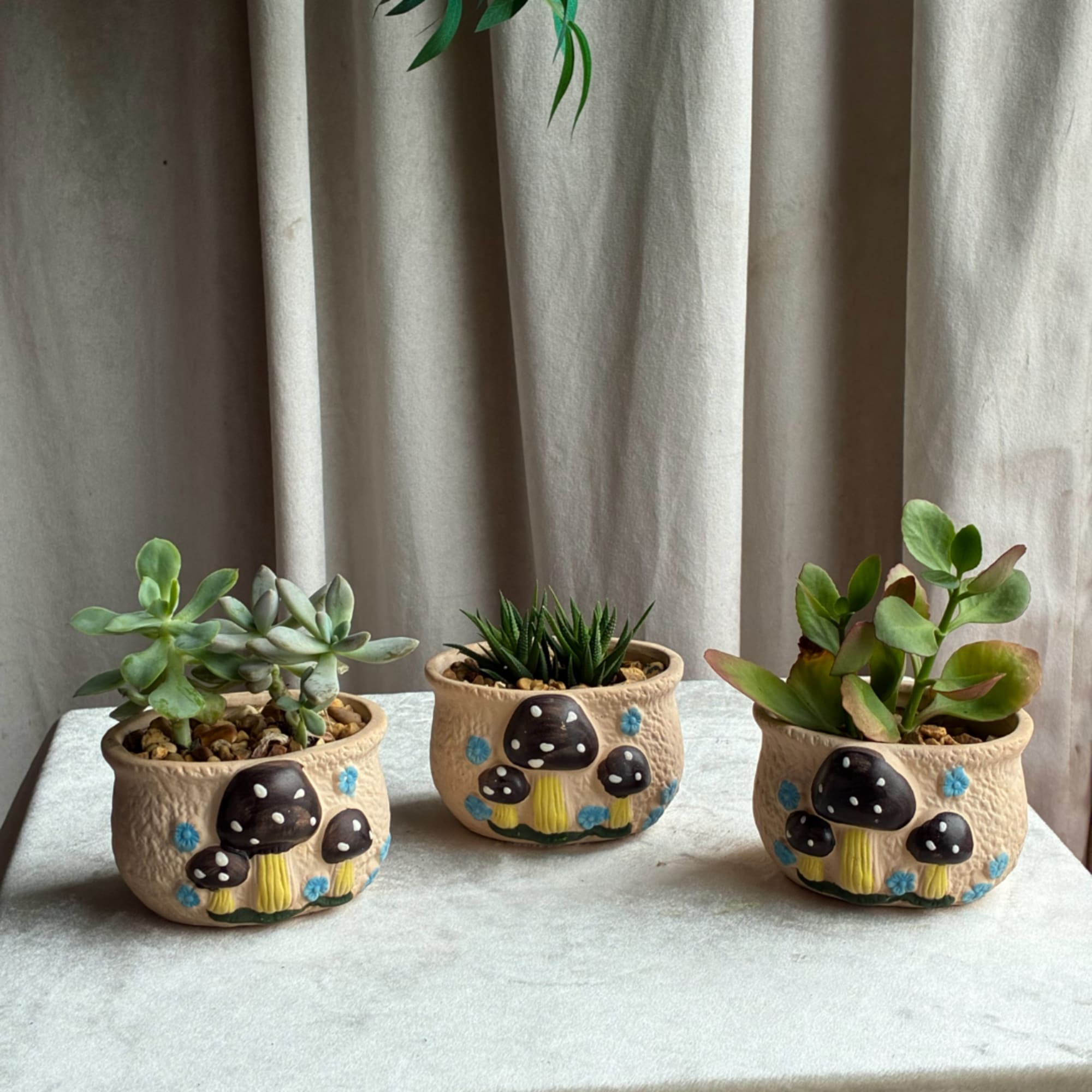 Three small succulent plants in mushroom-decorated ceramic pots on a table