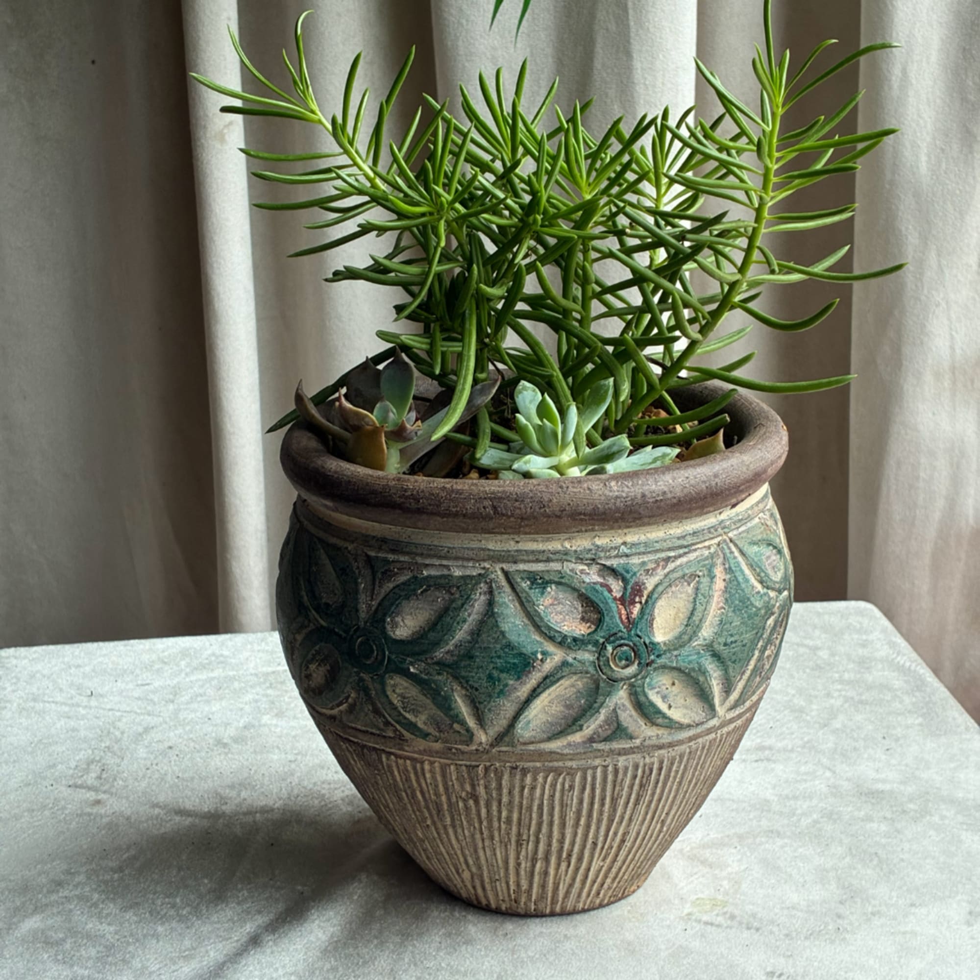 Potted succulent arrangement in a decorative ceramic planter, photo 5 of 6