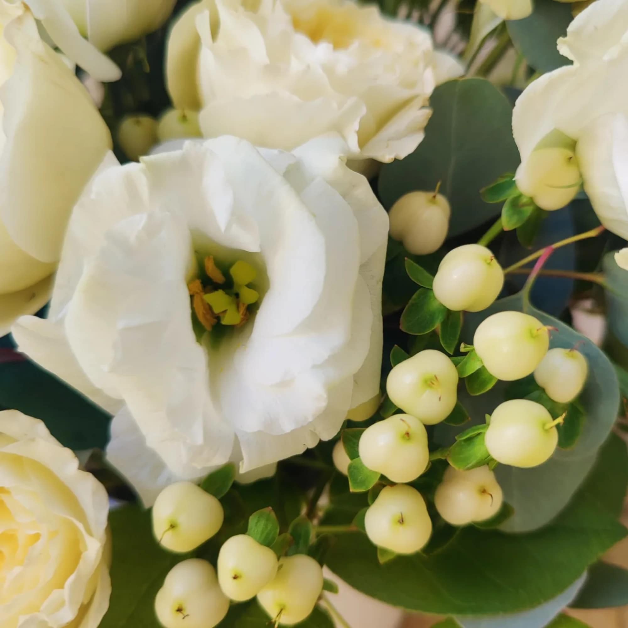 White flowers with pale berries and green foliage in a close-up bouquet