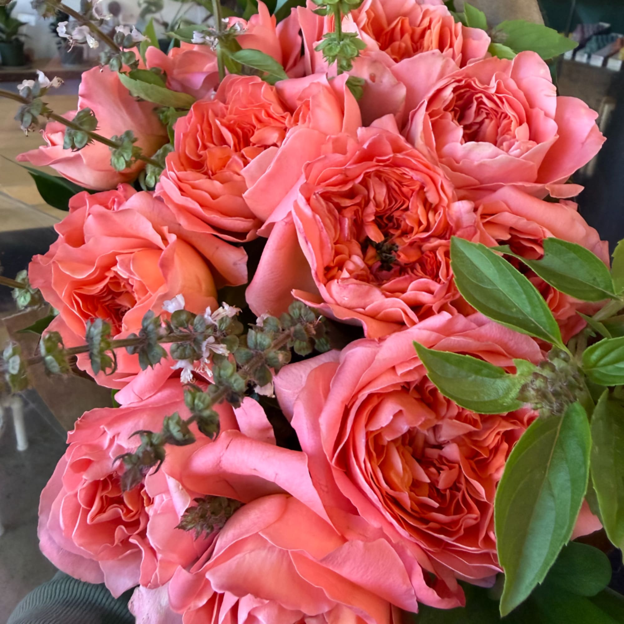 Bouquet of coral-pink roses with green foliage
