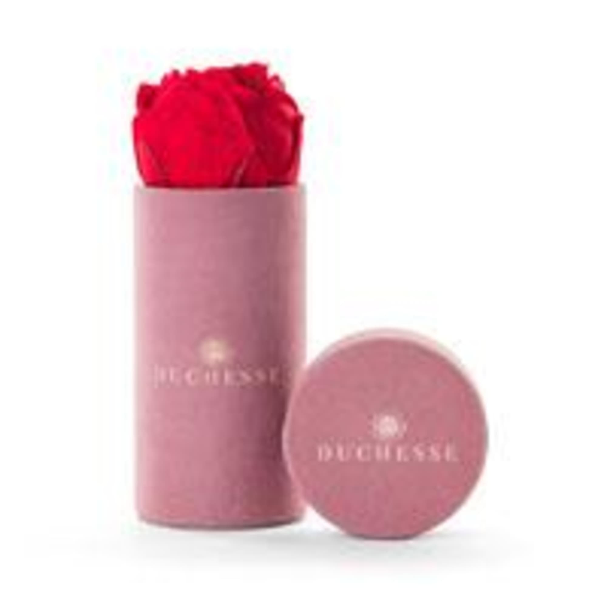 Red rose in a pink cylindrical box with a matching lid