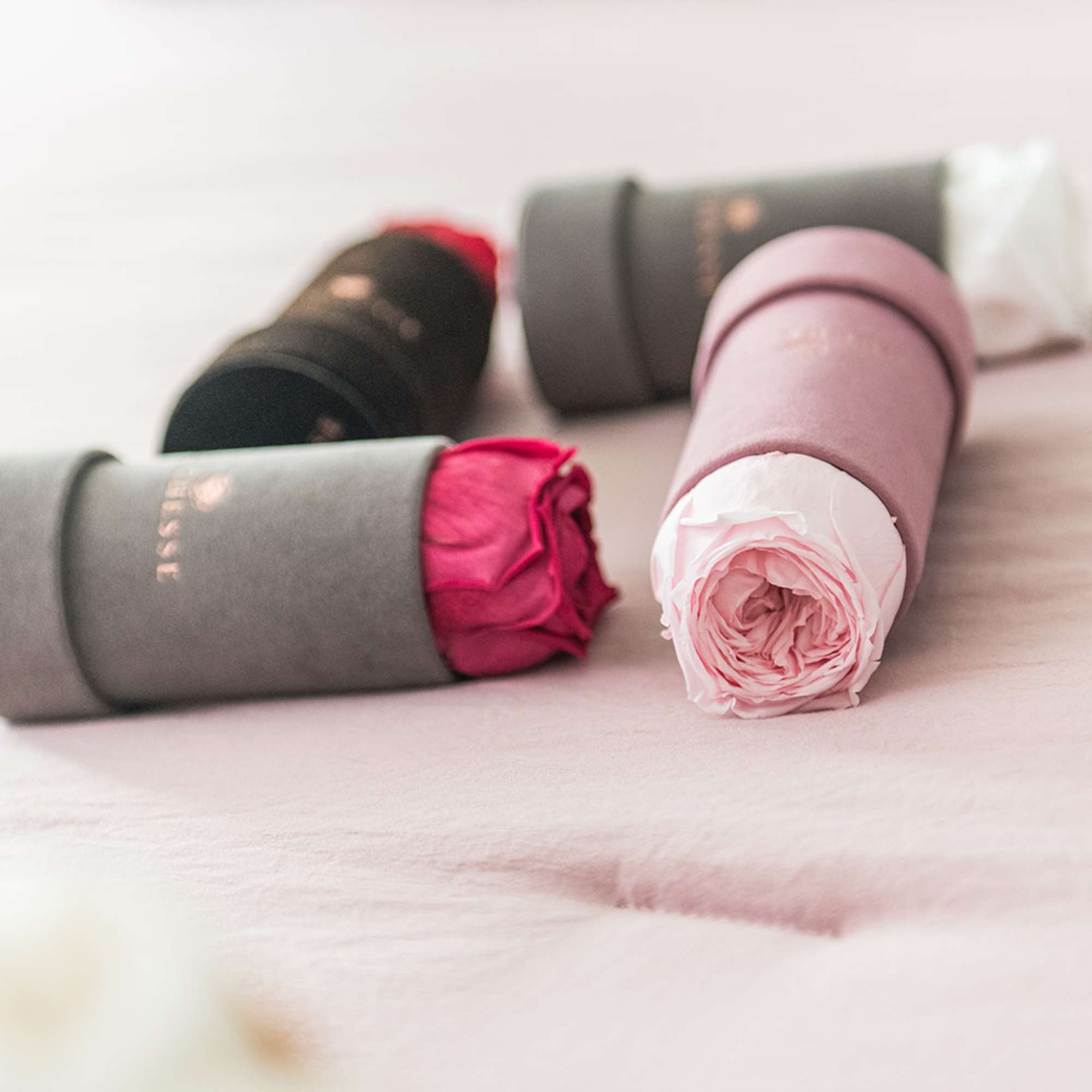 A single rose for the modern couple.

Preserved garden rose lasts up to, photo 3 of 3