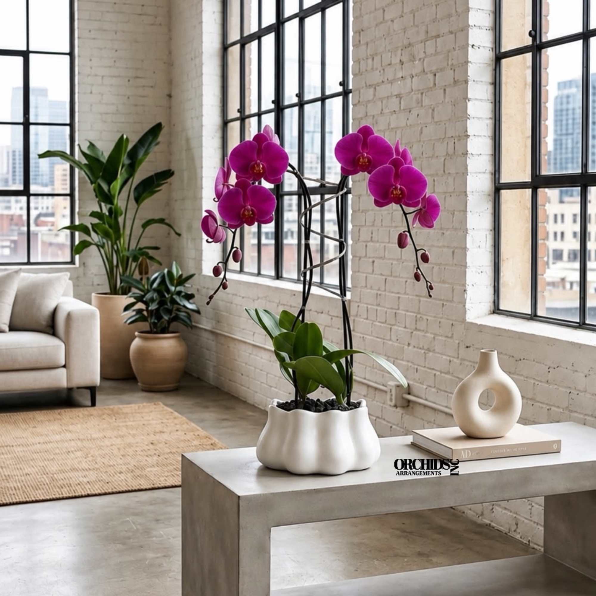 Potted purple orchids in a white planter on a concrete table