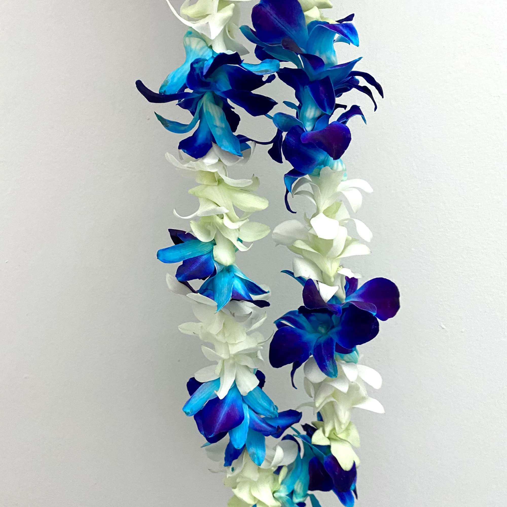 Blue and white flower lei on a plain background