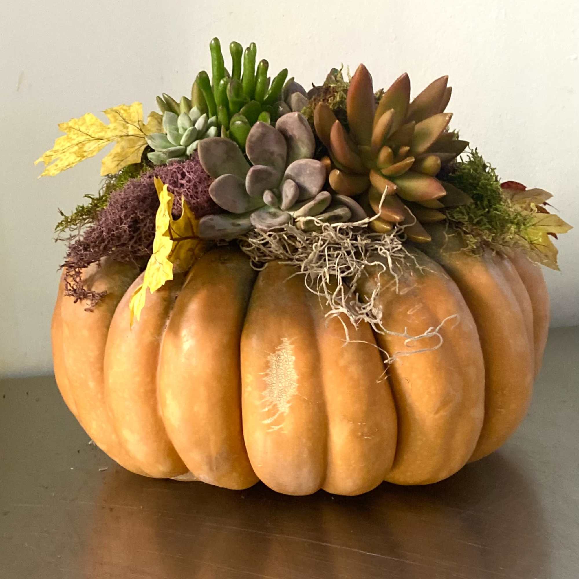 Natural Pumpkin with succulents, moss and leaves 11&rdquo; wide 8&rdquo; tall
, photo 2 of 3