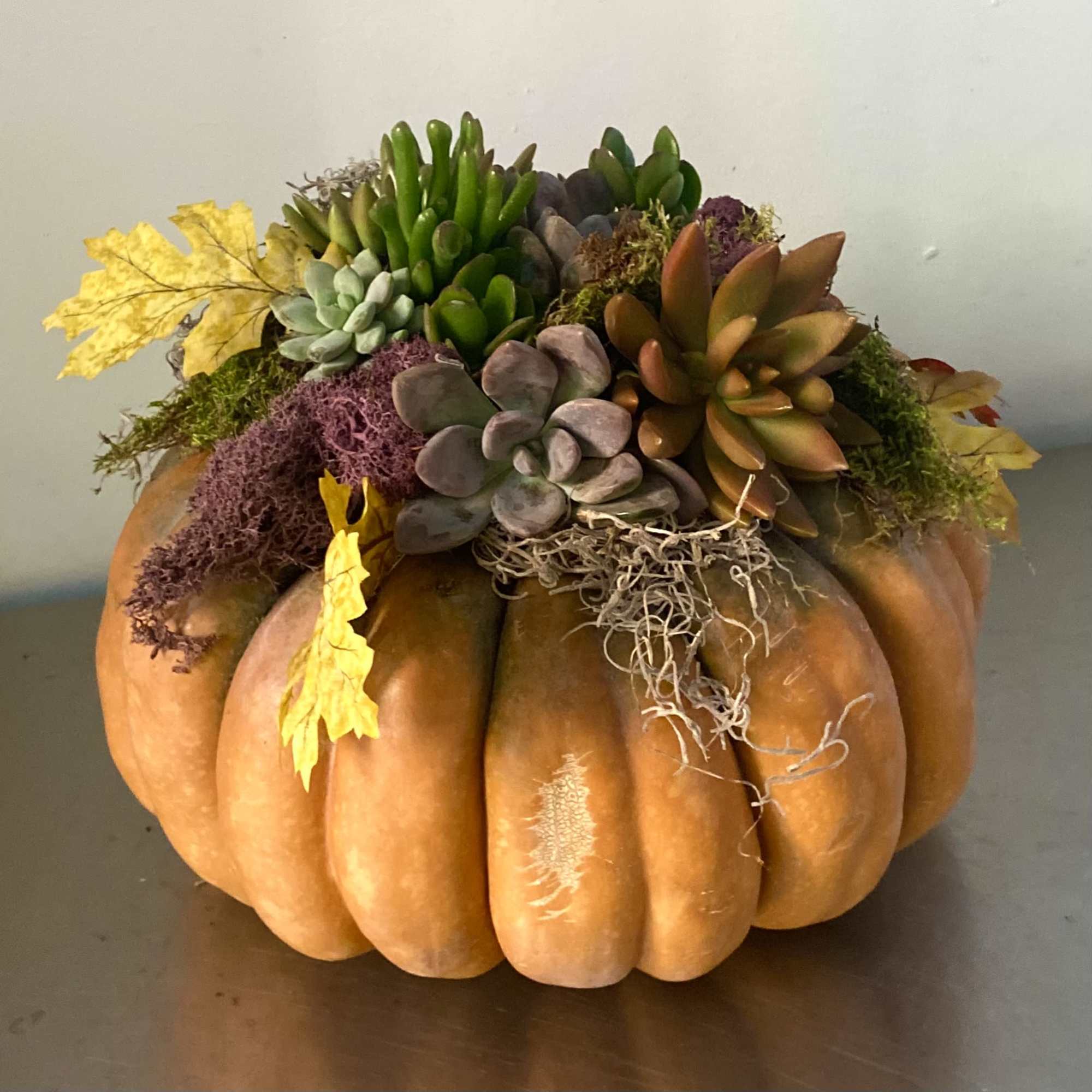 Natural Pumpkin with succulents, moss and leaves 11&rdquo; wide 8&rdquo; tall
, photo 3 of 3