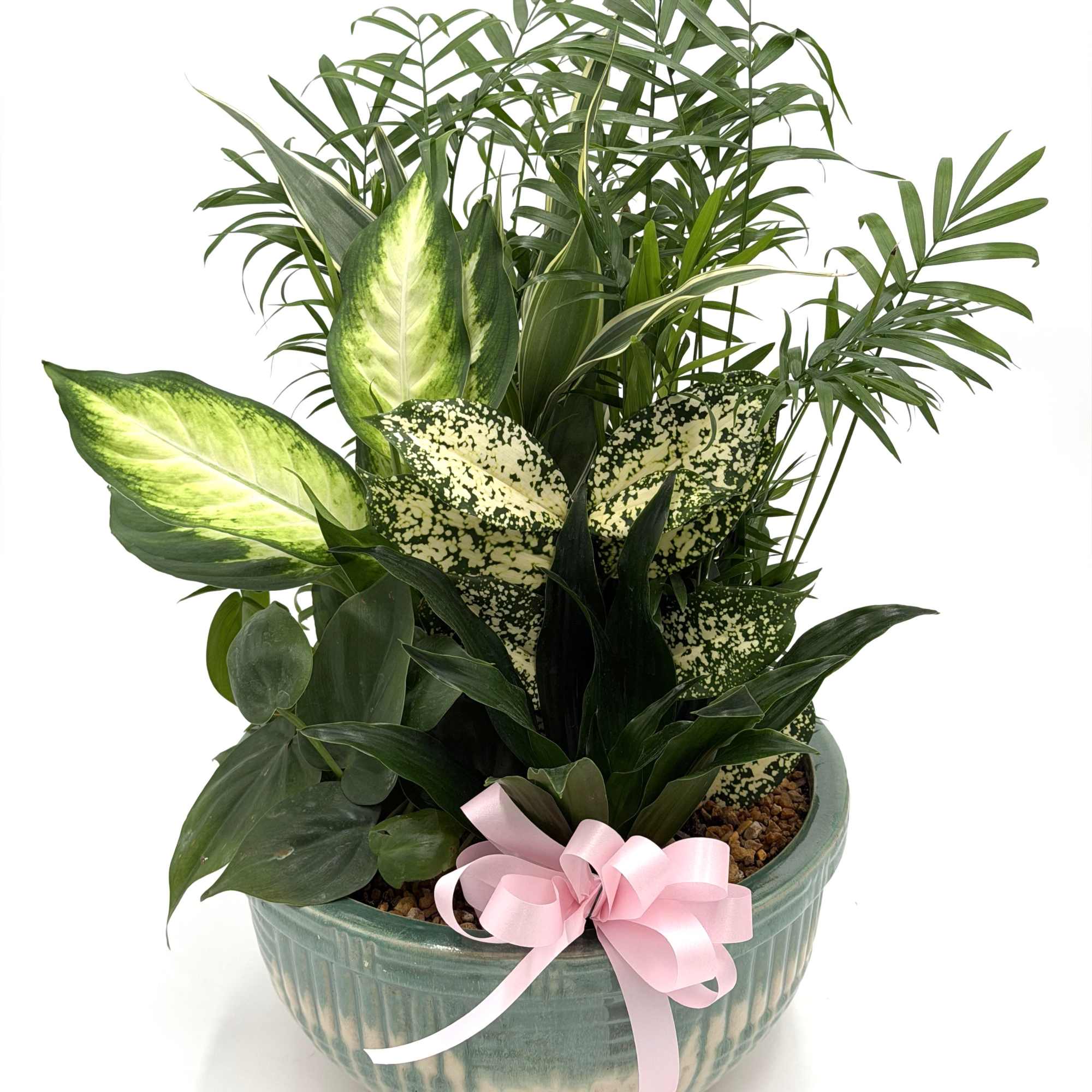 Dish Garden employs lush, green plants to create a gift ideal for