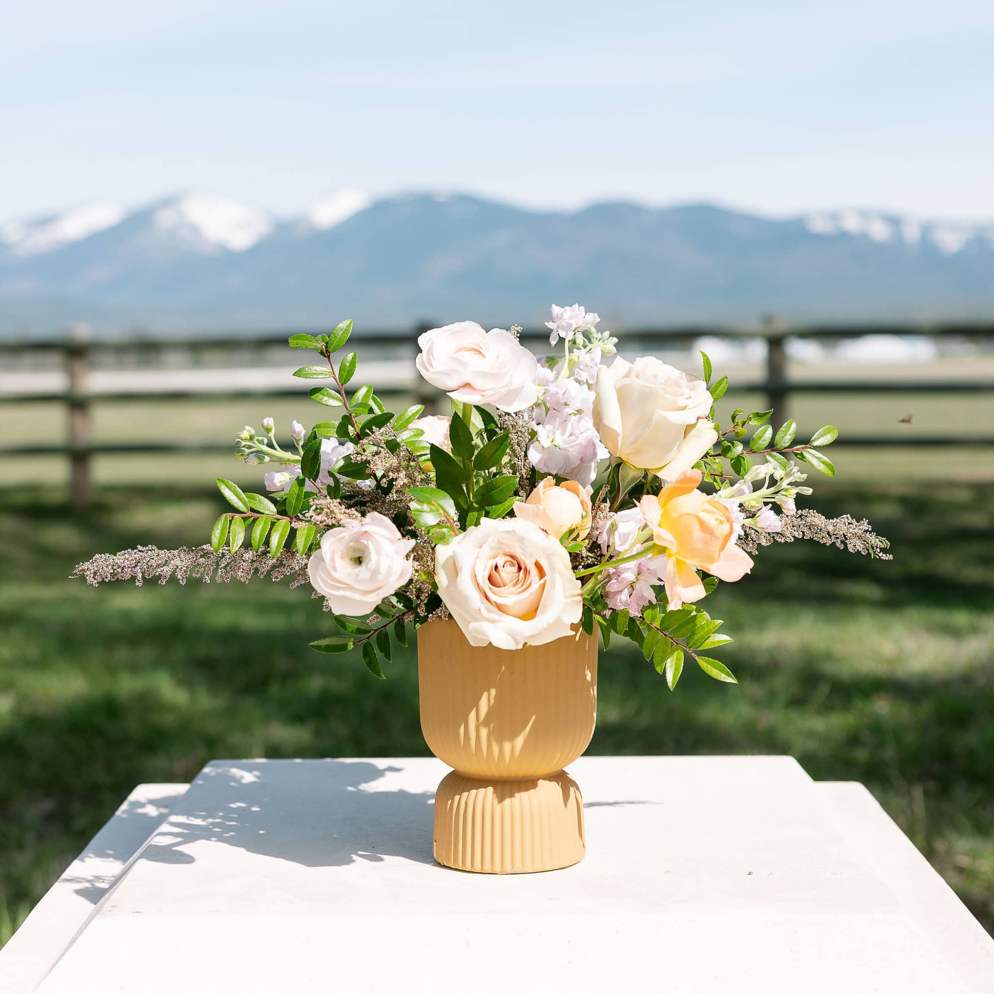 Low arrangement of white and peach roses in a mustard yellow pedestal vase outdoors.
