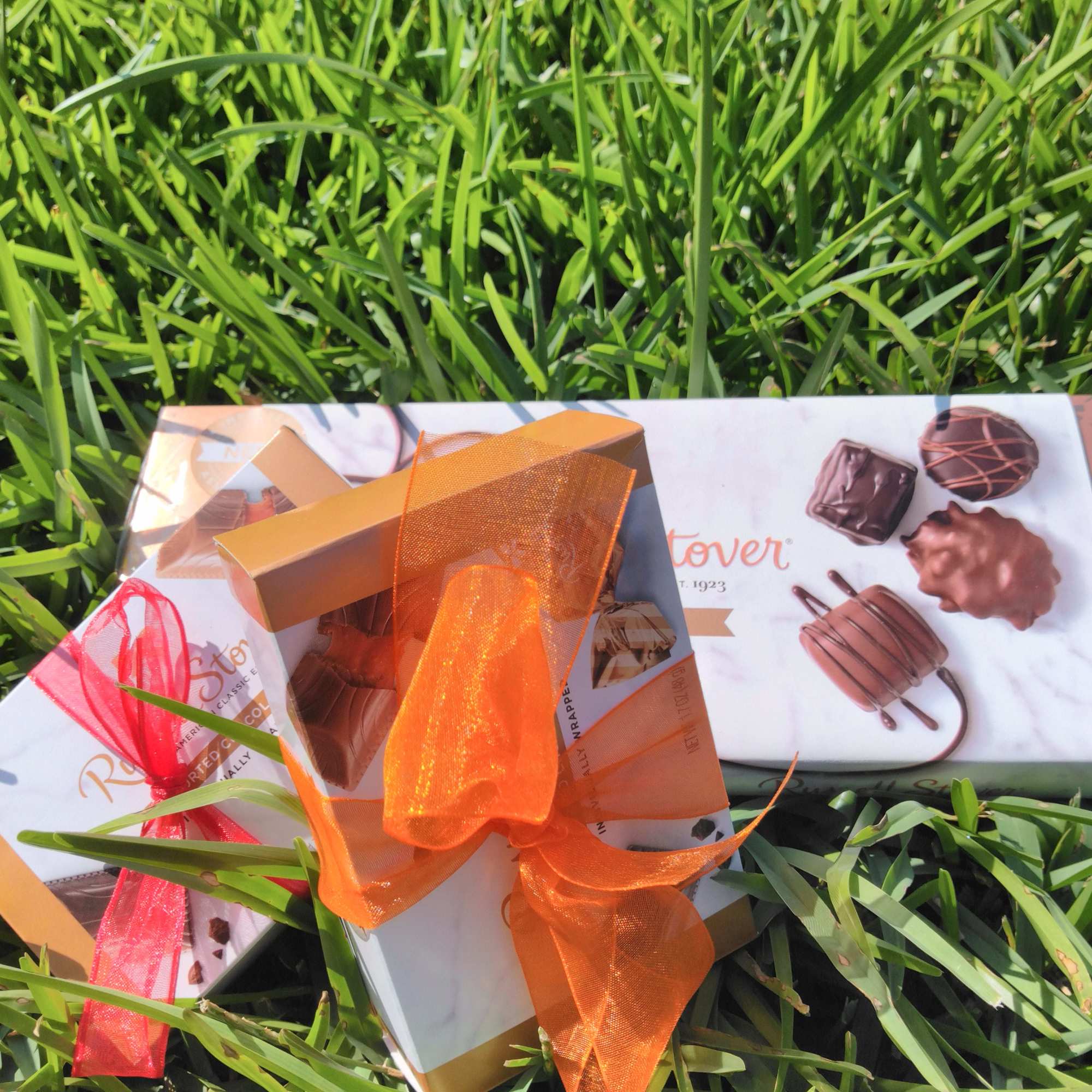 Chocolate gift boxes tied with orange and red ribbons on grass