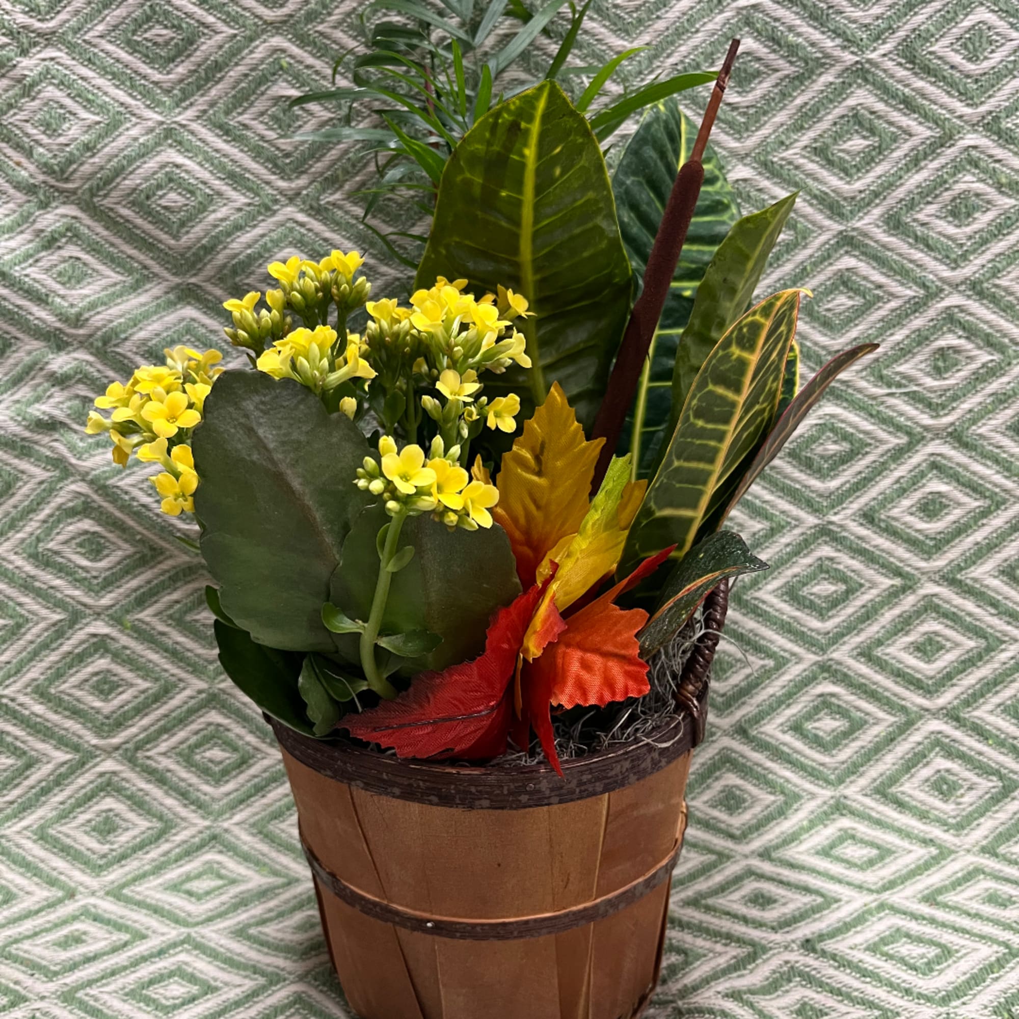 Yellow flowering plant in a wooden basket with colorful autumn leaves