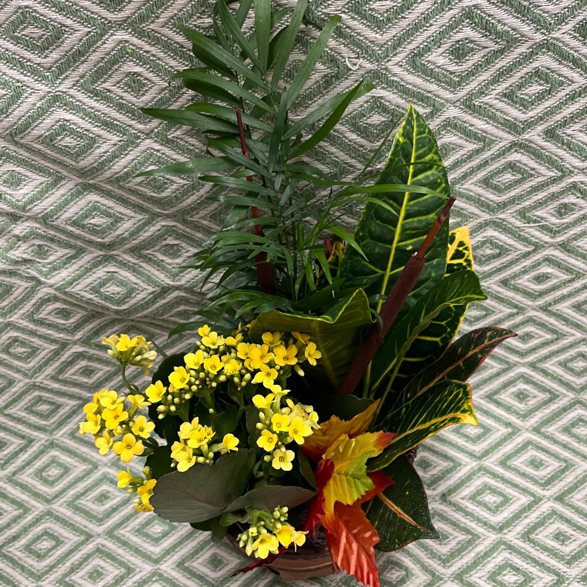 Yellow flowers in a pot with tall tropical foliage