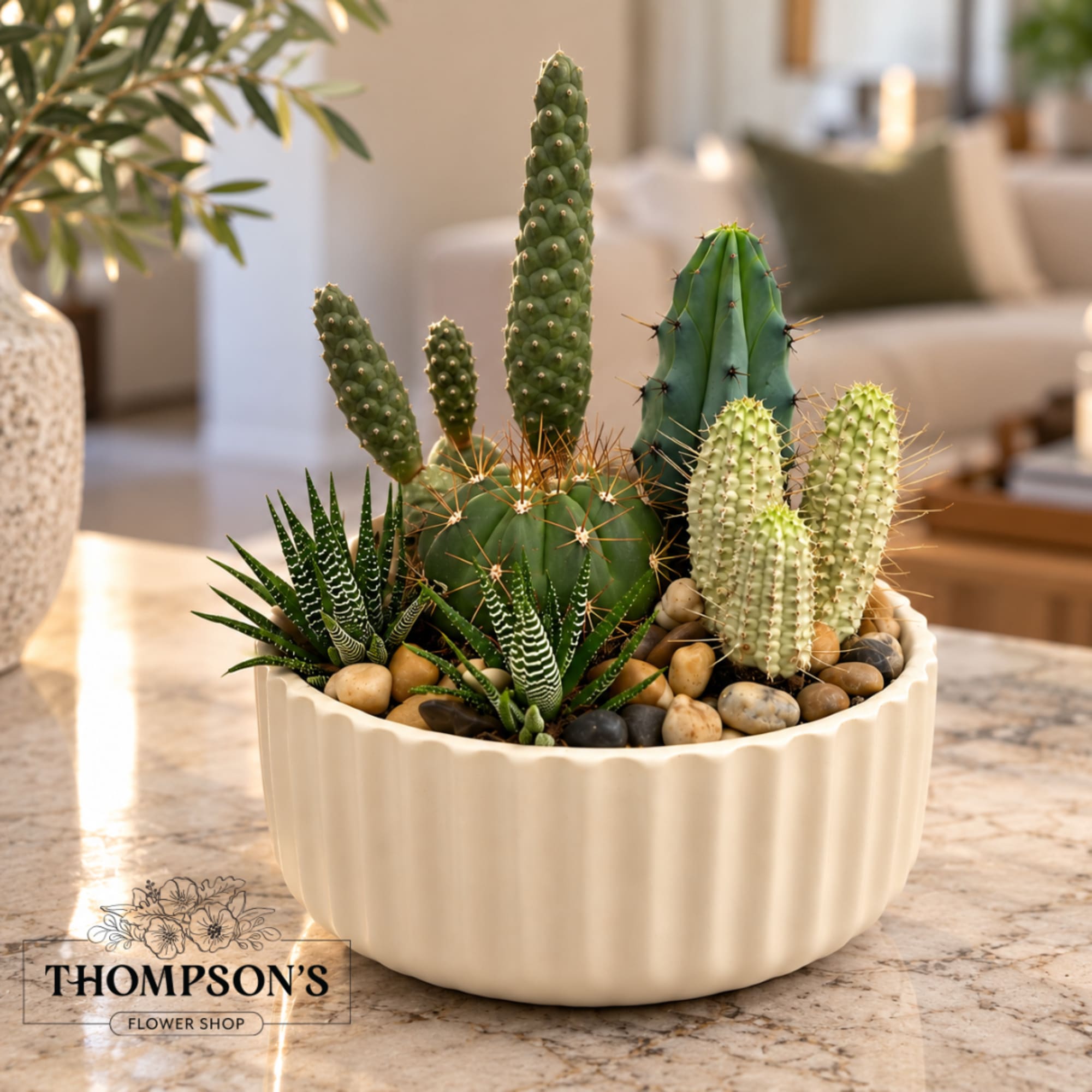 Potted cactus and succulent arrangement in a white ribbed bowl