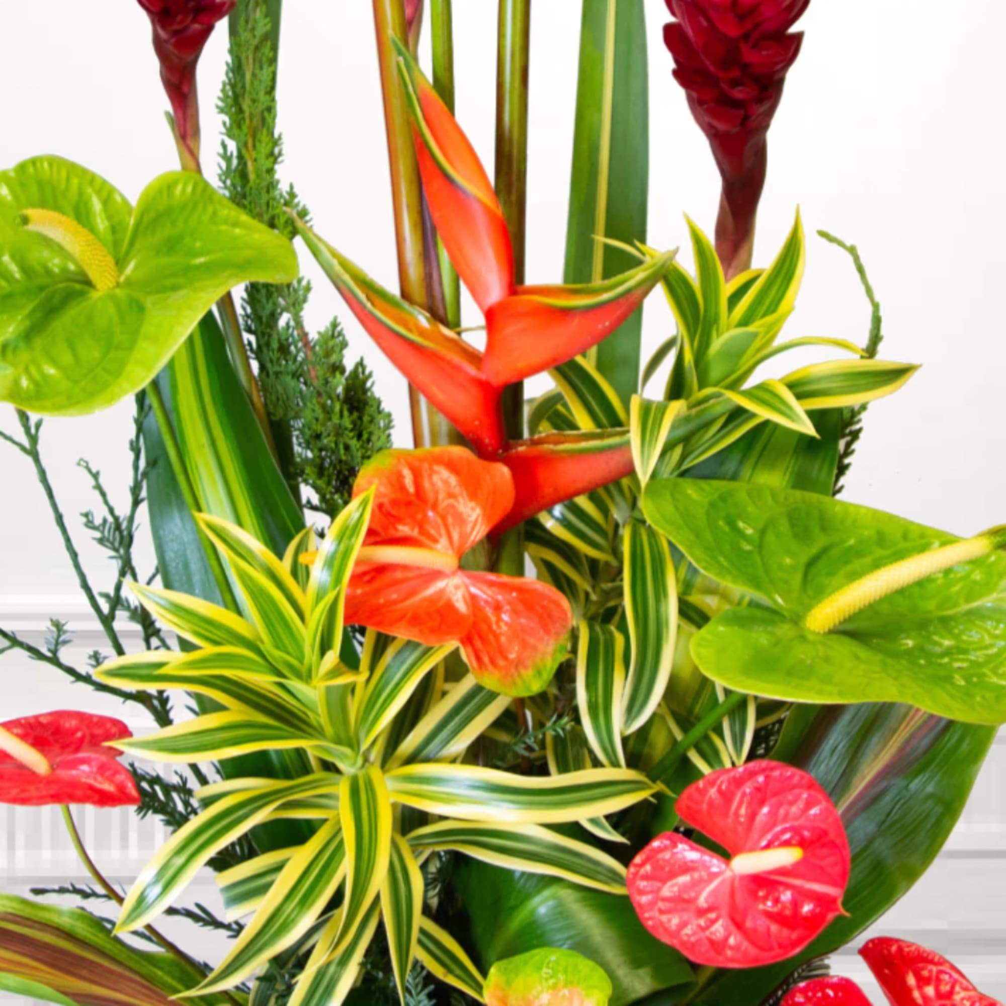 Tropical arrangement with red and orange flowers and variegated leaves