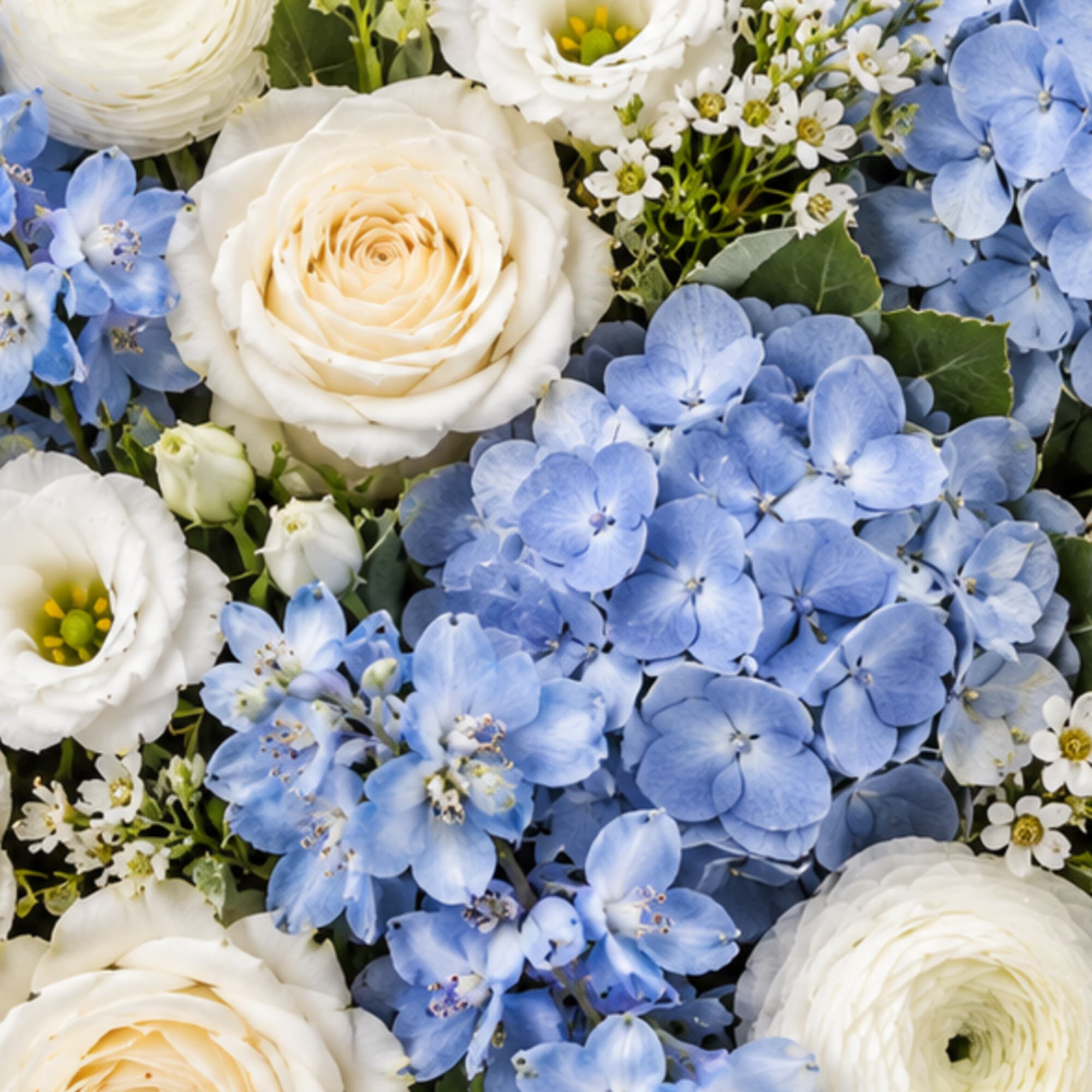 Blue hydrangeas with white roses and small white filler flowers