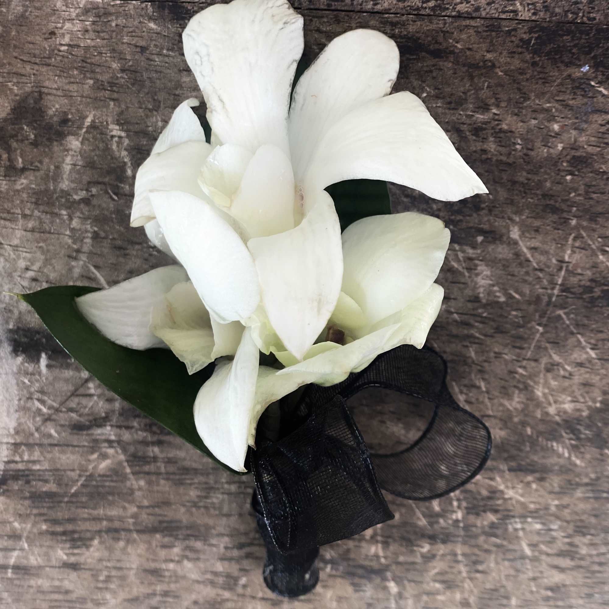 White orchid corsage with black ribbon on a wood background
