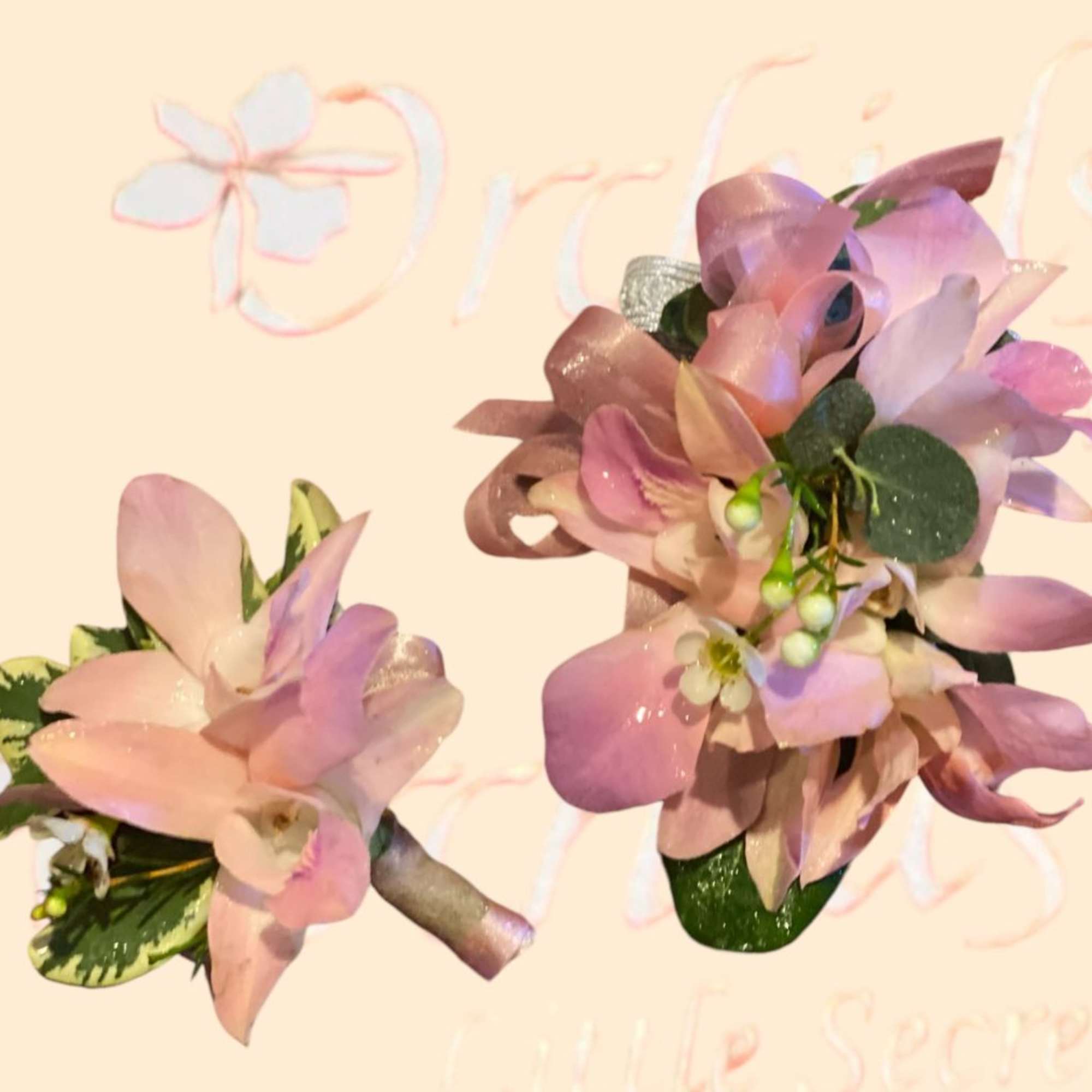 Two pink orchid corsages with ribbon and greenery
