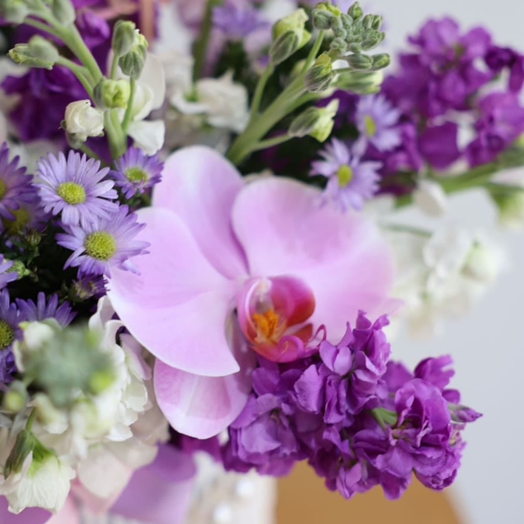 Purple and white bouquet with an orchid and small daisy-like flowers