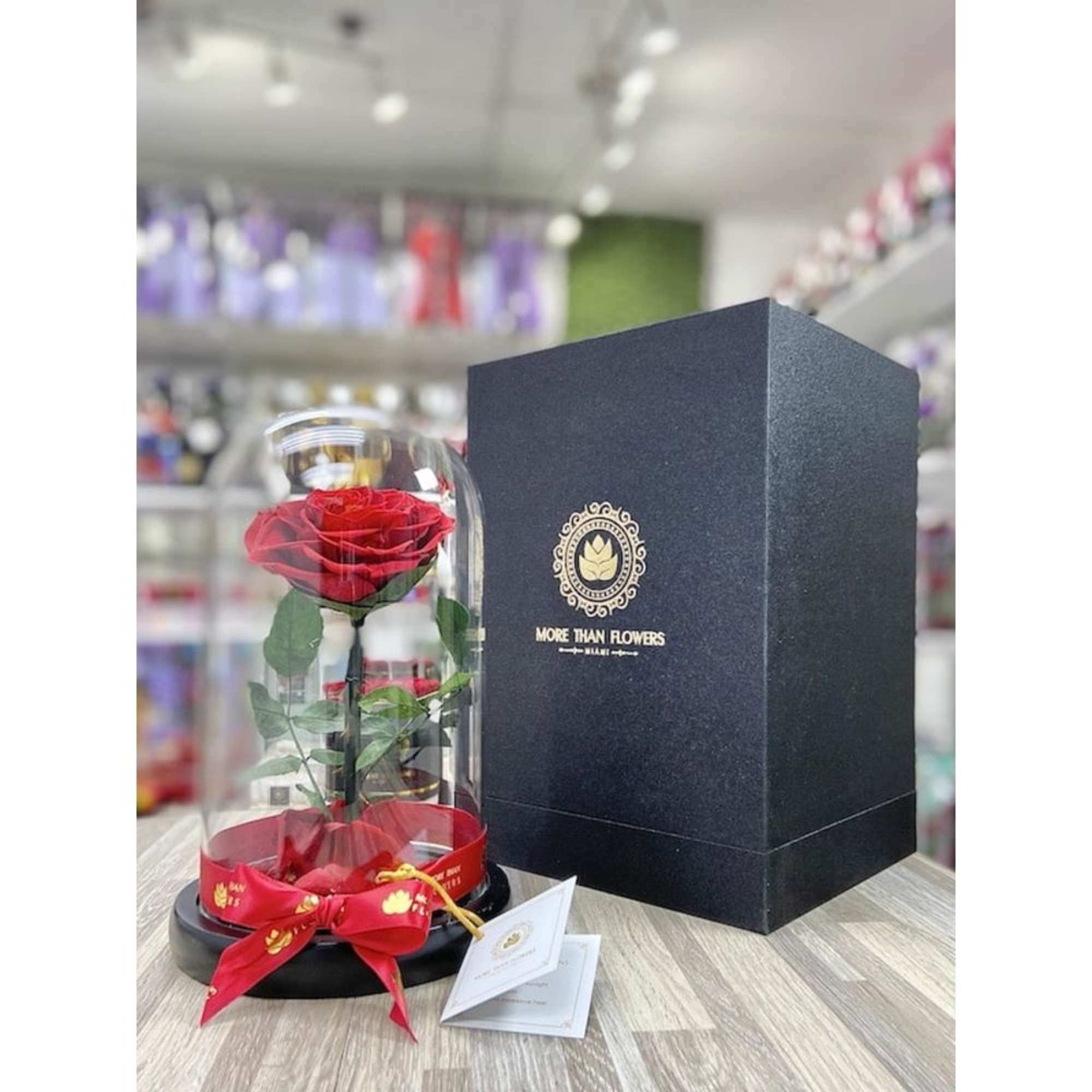 Single red rose under a glass dome with red ribbon beside a tall black gift box