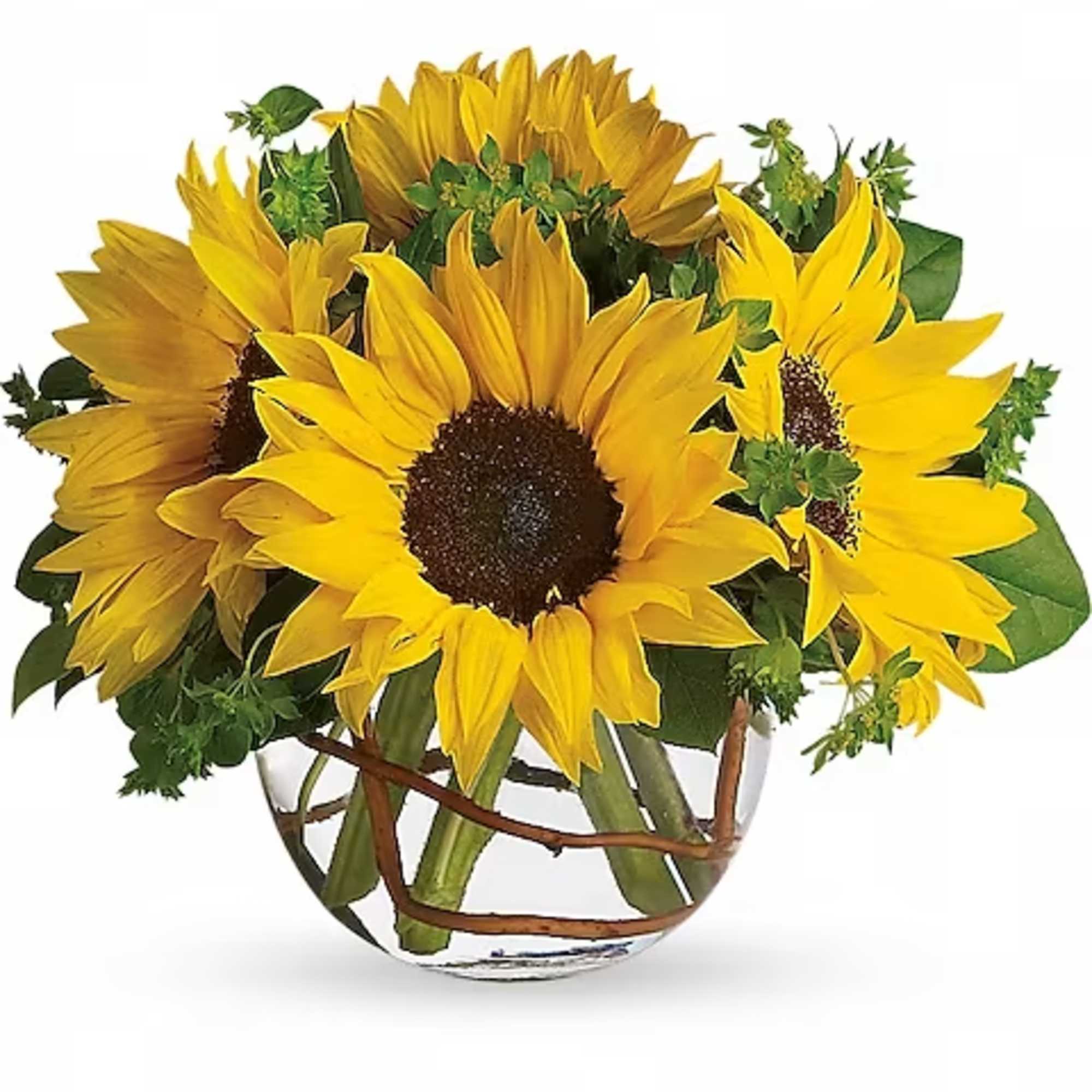 Bouquet of yellow sunflowers in a clear glass vase
