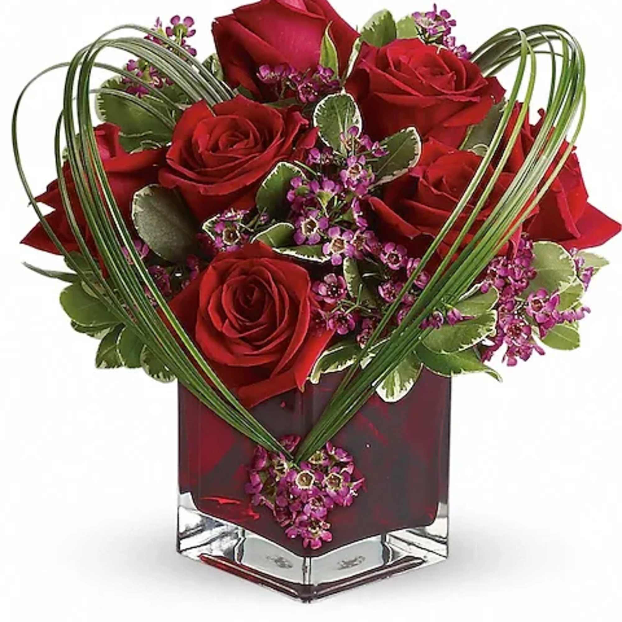 Red roses in a square glass vase with purple filler flowers