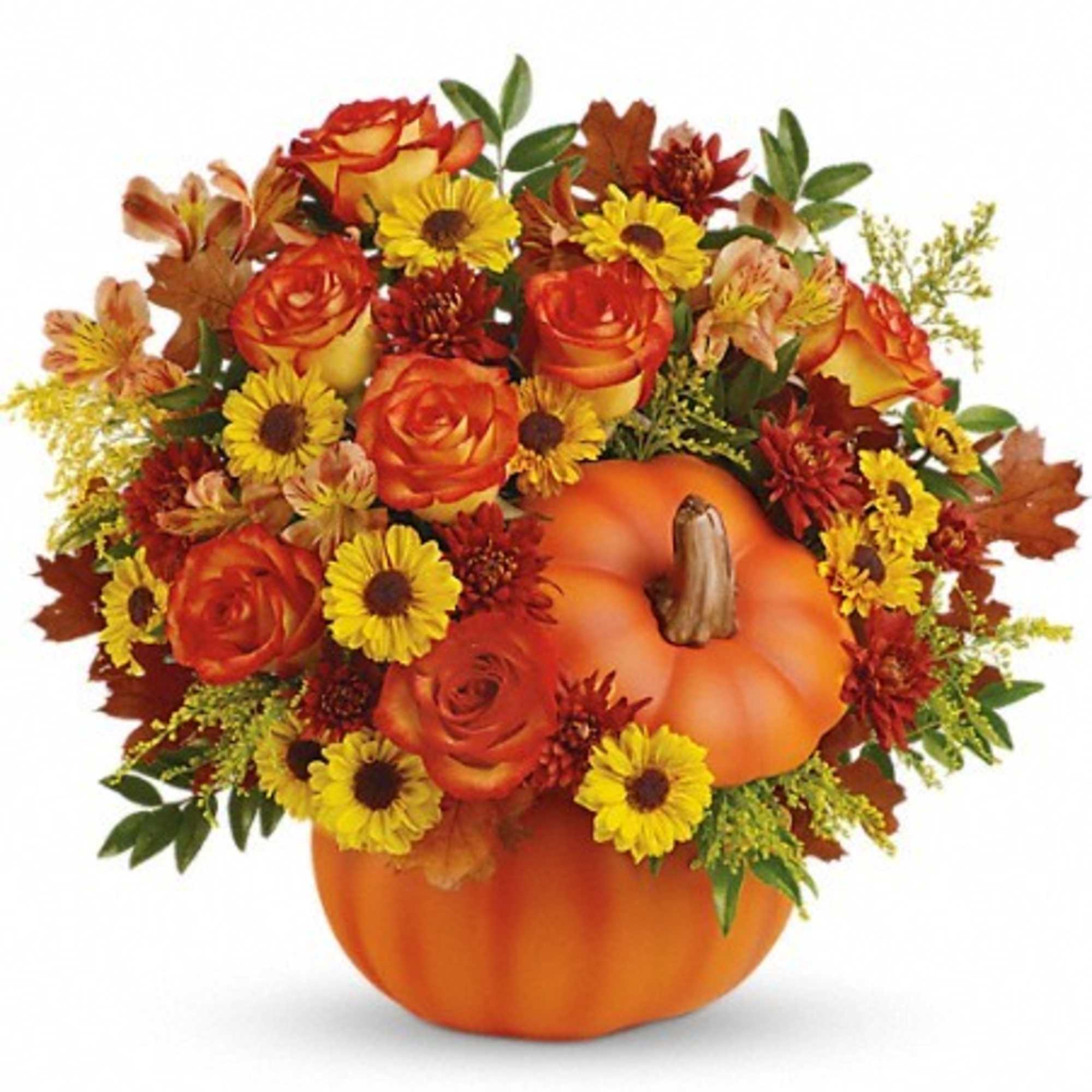 Everyone falls for this fabulous fall gift! Celebrate the season with this