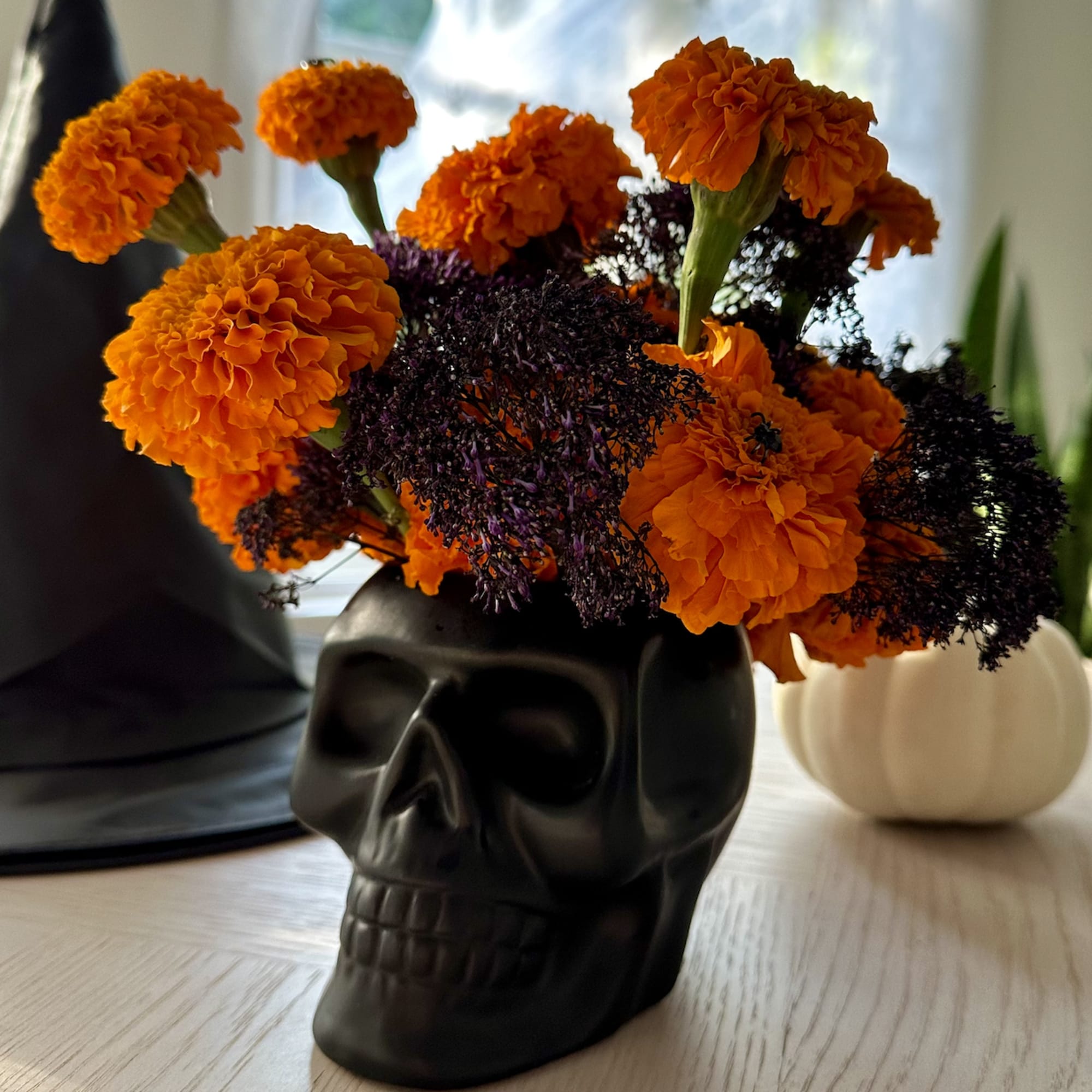 Having a Halloween party? Know someone who just loves Halloween, or is