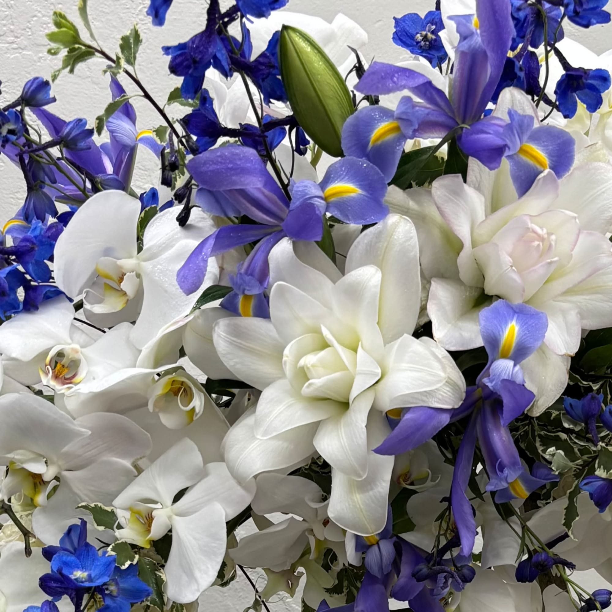 White orchids and purple iris flowers in a close-up bouquet